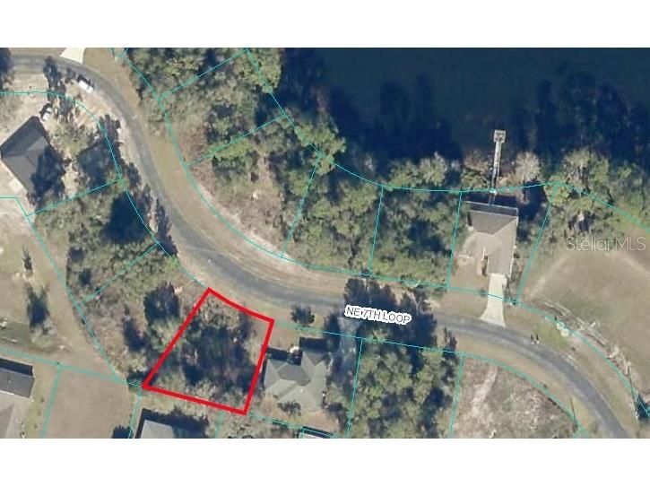 13047 NE 7th Loop Silver Springs FL 34488 T3457364 image1