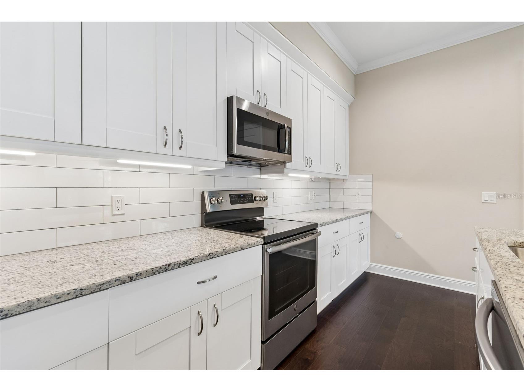 13047 Sanctuary Village Lane Tampa FL 33624 TB8510538 image5