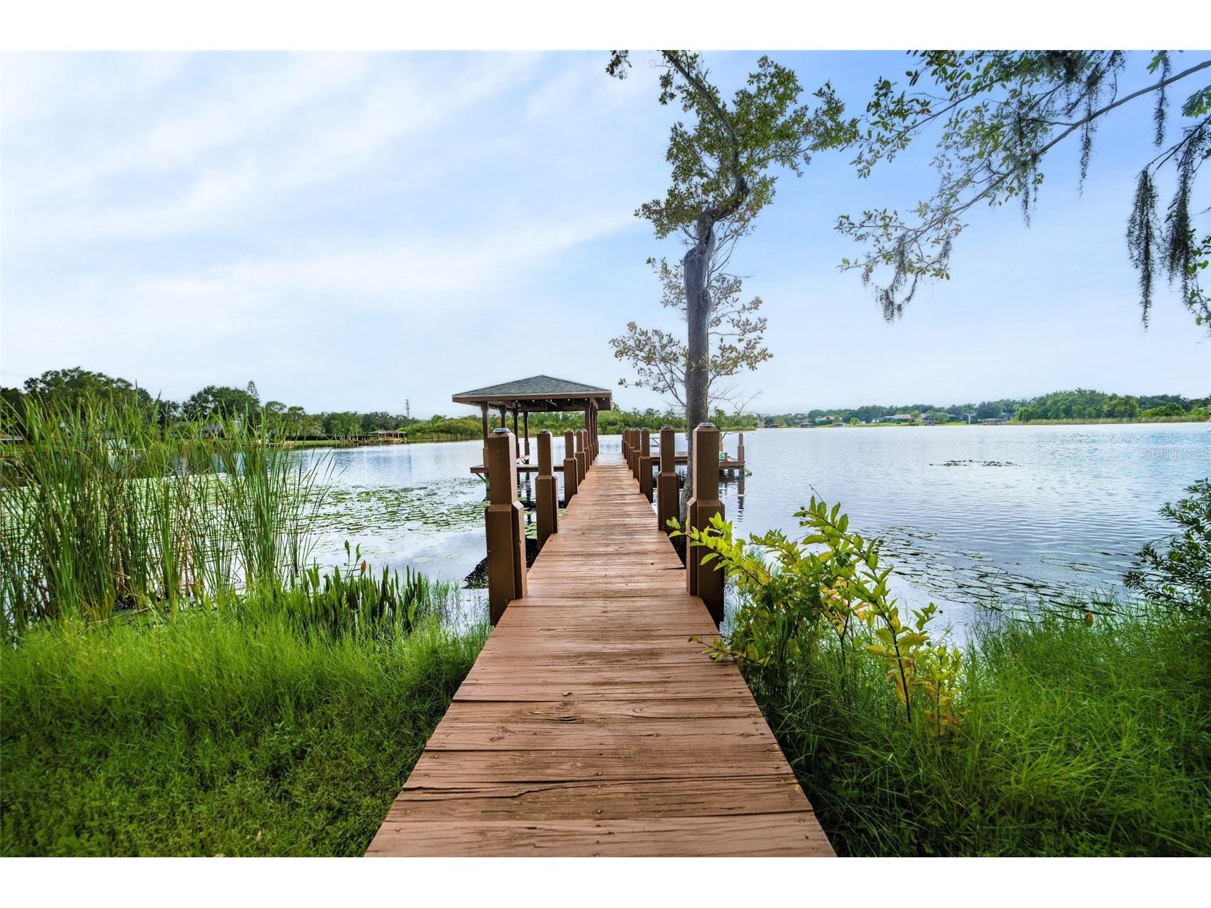 13048 Lake Roper Ct. Windermere FL 34786 O6342354 image12