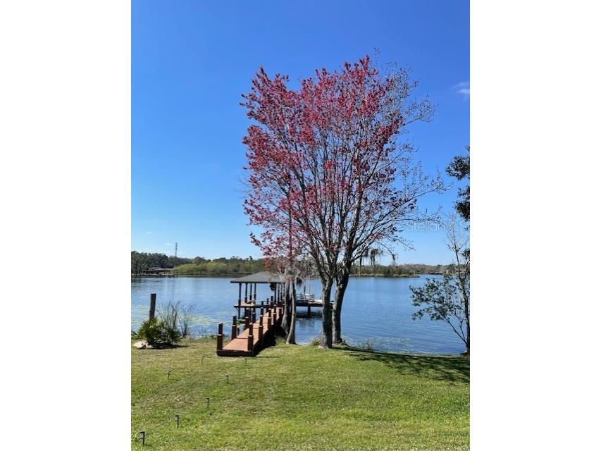 13048 Lake Roper Ct. Windermere FL 34786 O6342354 image23