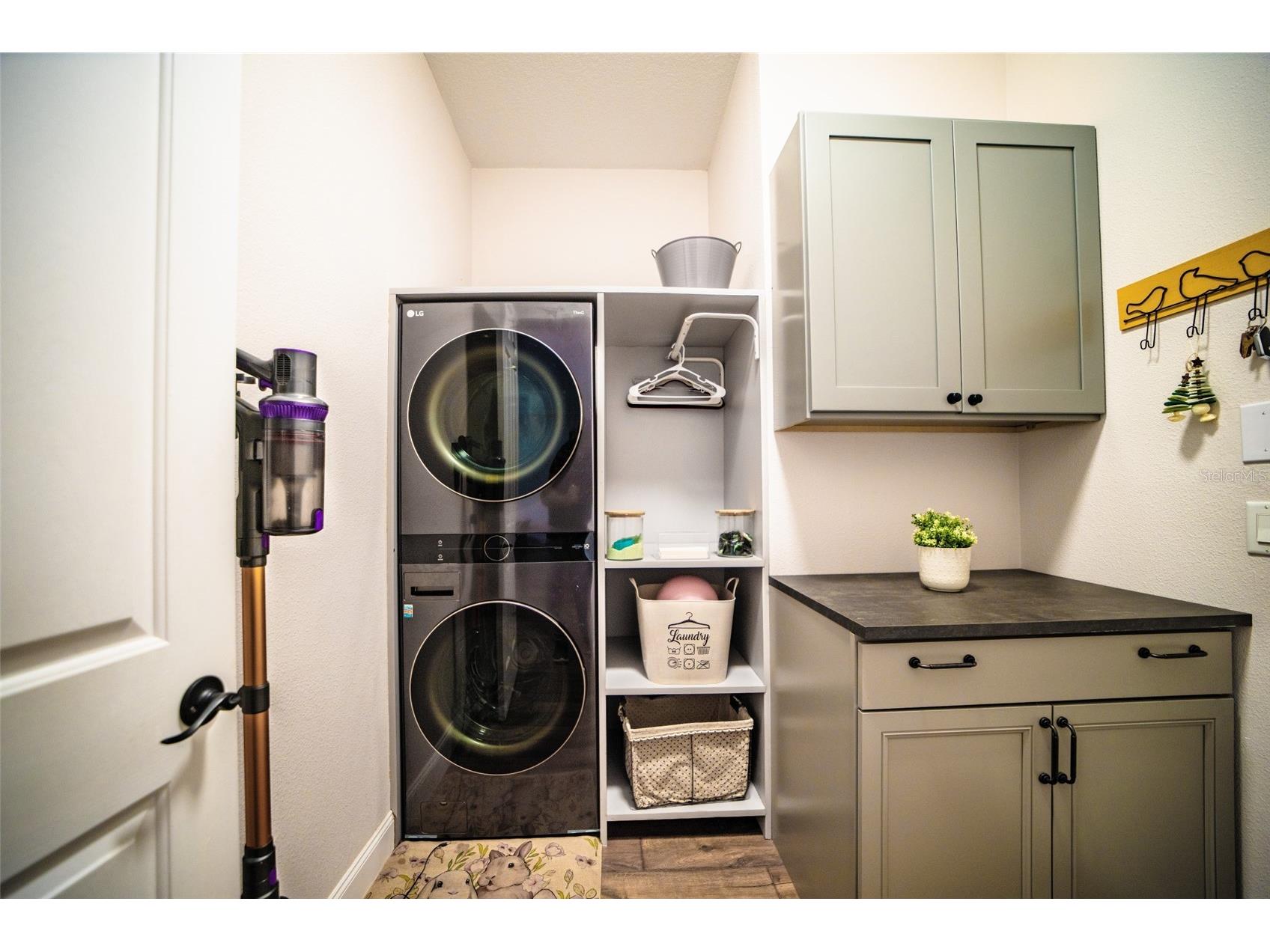 13048 Lake Roper Ct. Windermere FL 34786 O6342354 image58