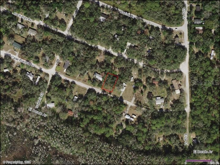 13049 Casa Bianca Avenue New Port Richey FL 34654 U8229983 image1