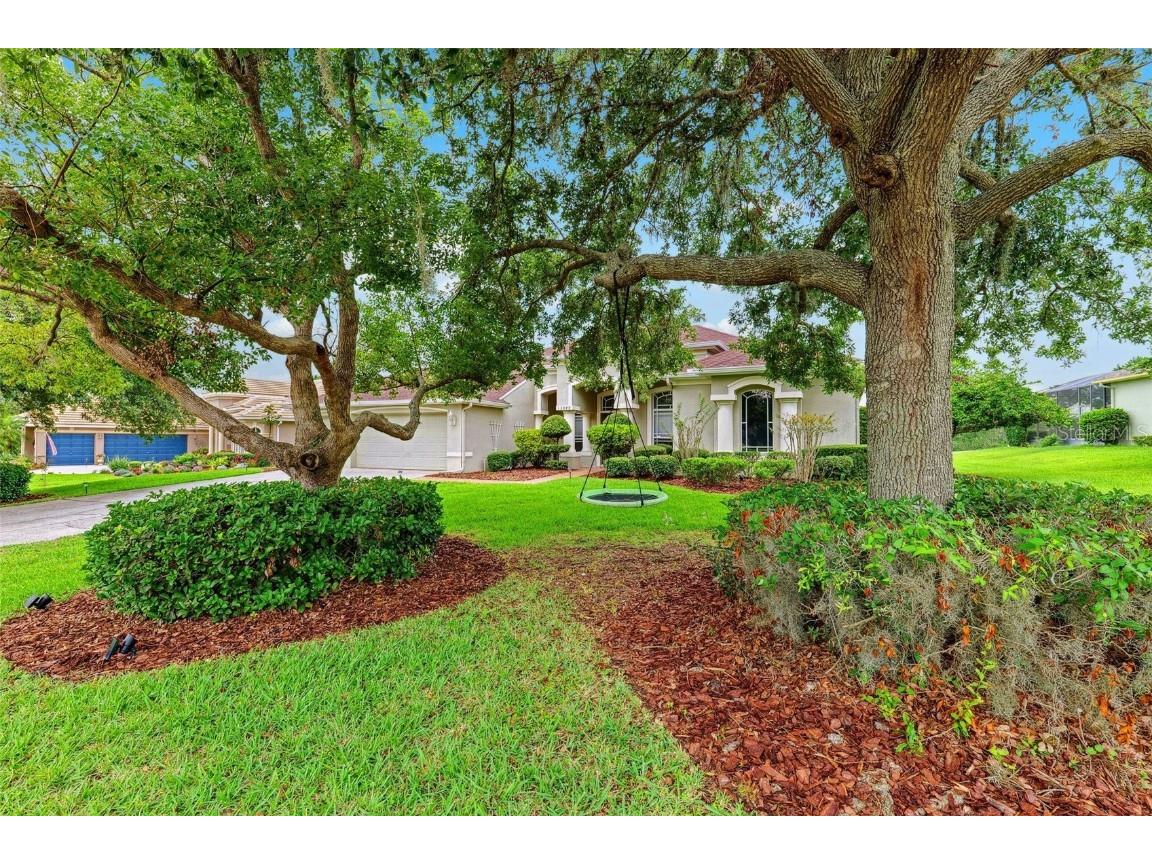 13049 Thoroughbred Drive Dade City FL 33525 TB8407974 image5