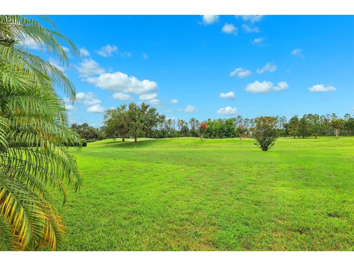 13049 Thoroughbred Drive Dade City FL 33525 TB8449268 image41