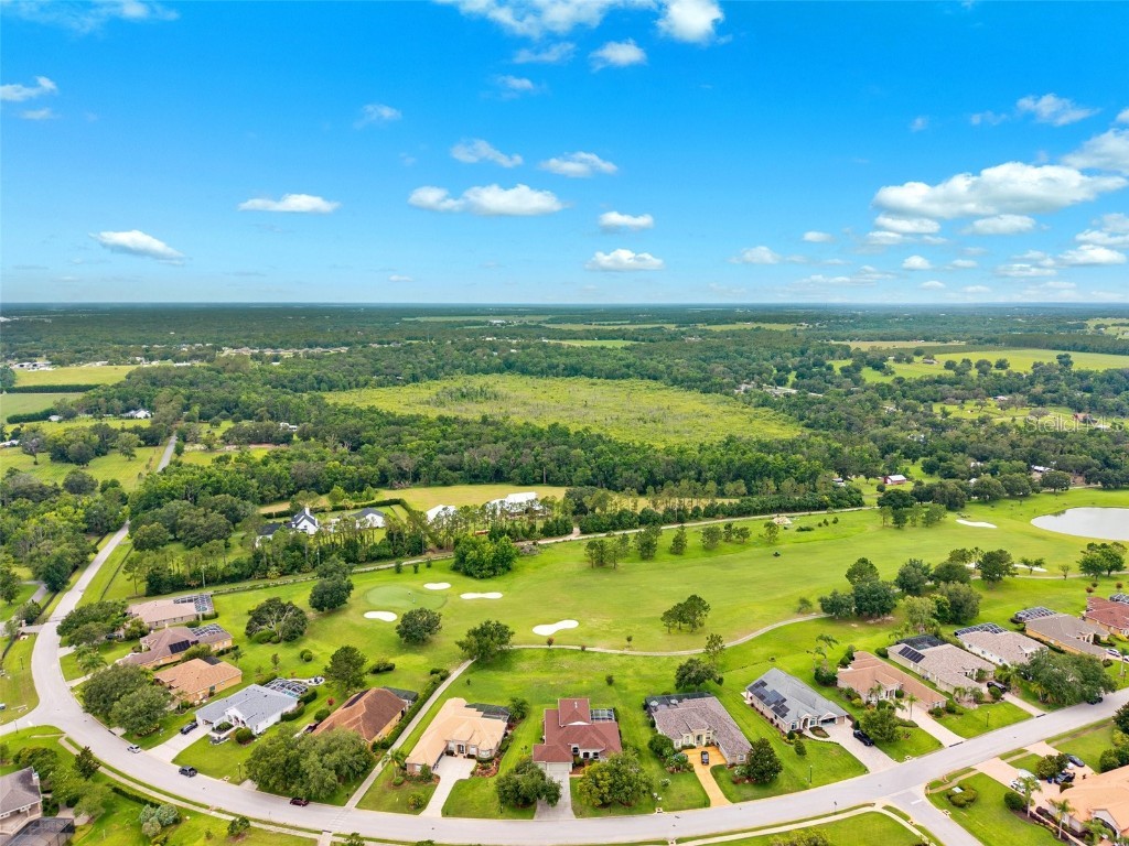 13049 Thoroughbred Drive Dade City FL 33525 TB8449268 image47