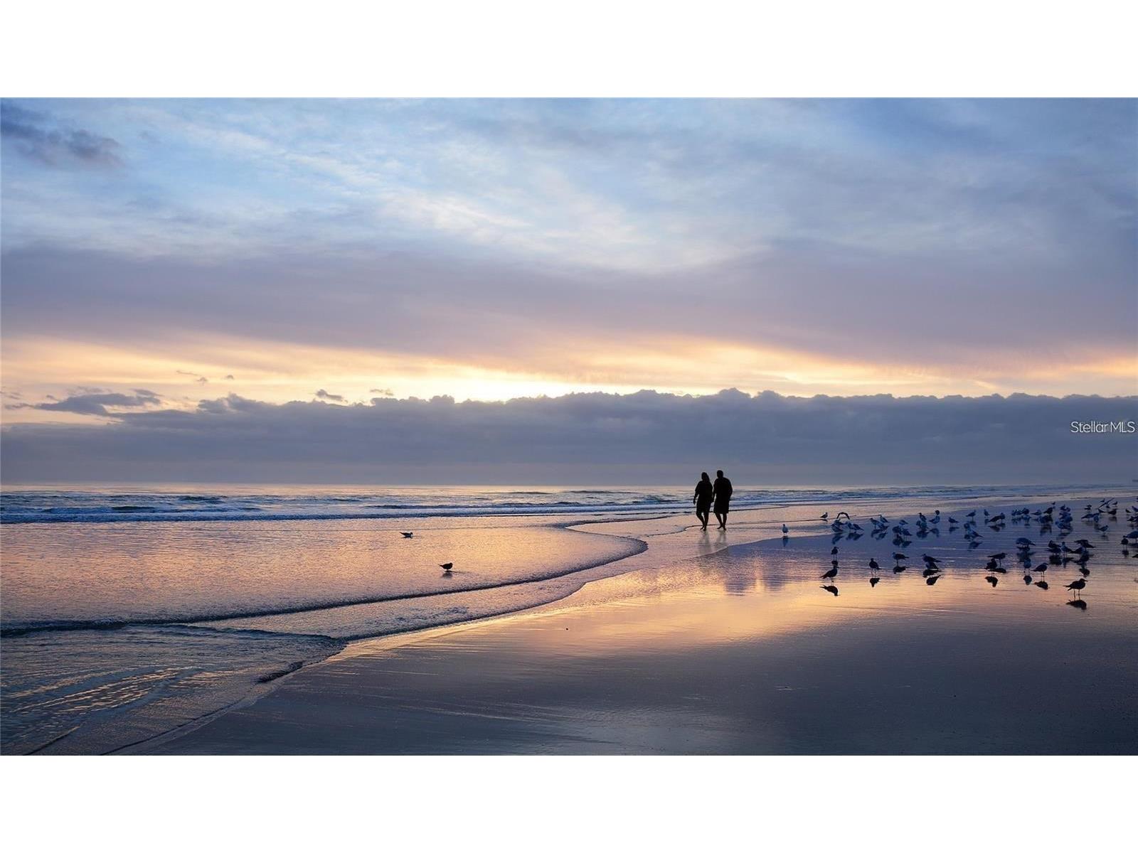 1305 4th Street #101A Sarasota FL 34236 A4637380 image18