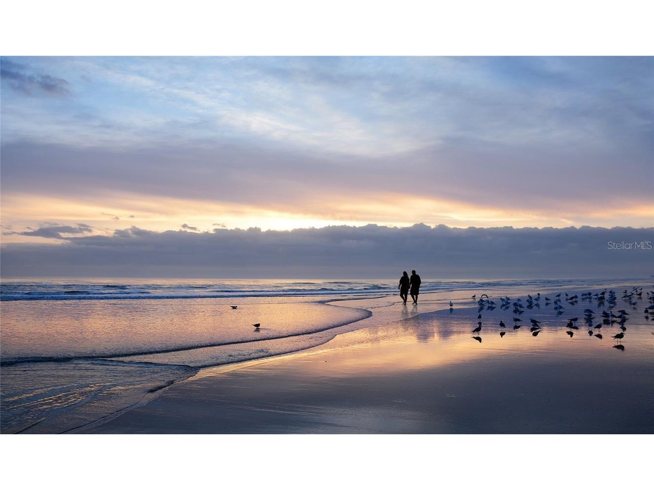 1305 4th Street #403B Sarasota FL 34236 A4637429 image12