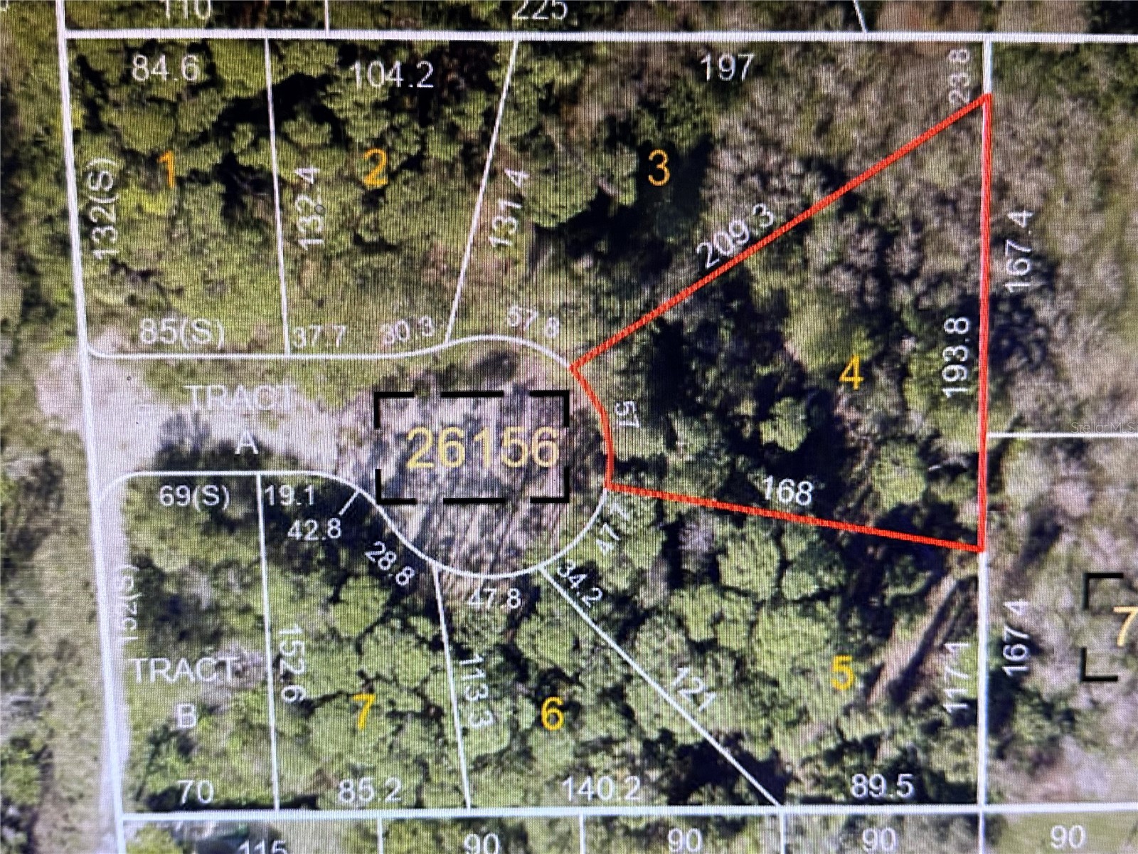 1305 Almaria Court Palm Harbor FL 34683 U8238017 image4