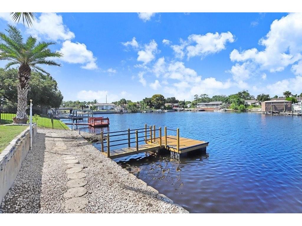 1305 Basswood Drive Holiday FL 34690 - ANCLOTE RIVER TB8433779 image30