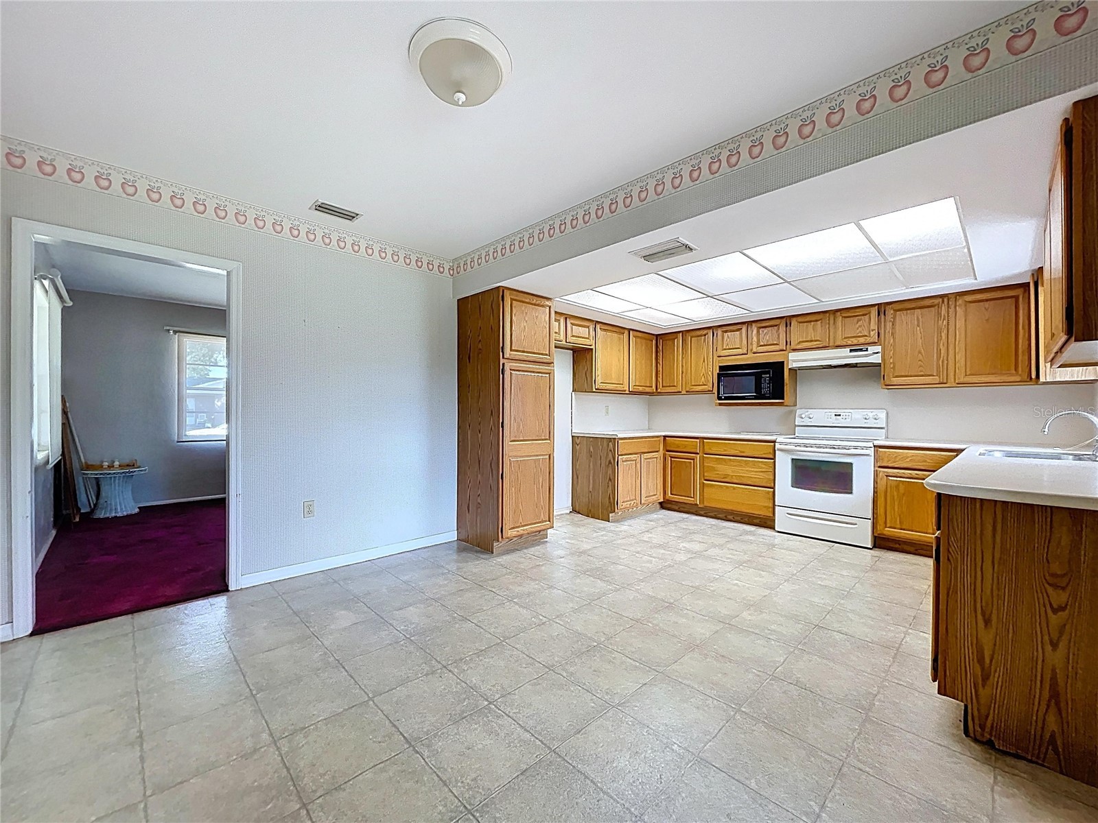1305 Hickory Lane S Fort Meade FL 33841 B4902237 image6