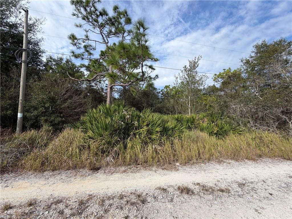 1305 N Roberts Road Avon Park FL 33825 L4959423 image3