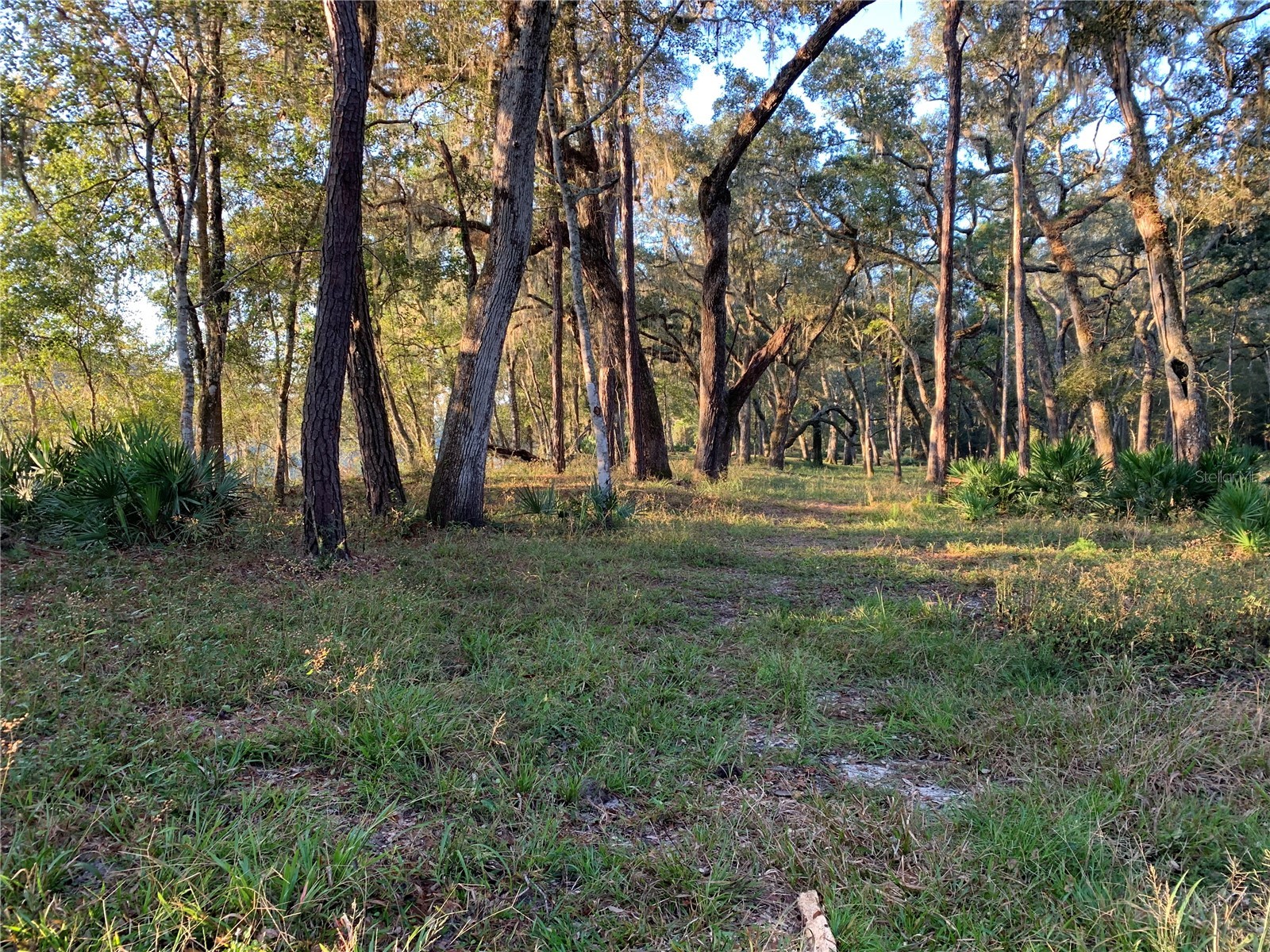 1305 NE 930th Street Old Town FL 32680 TB8520633 image3