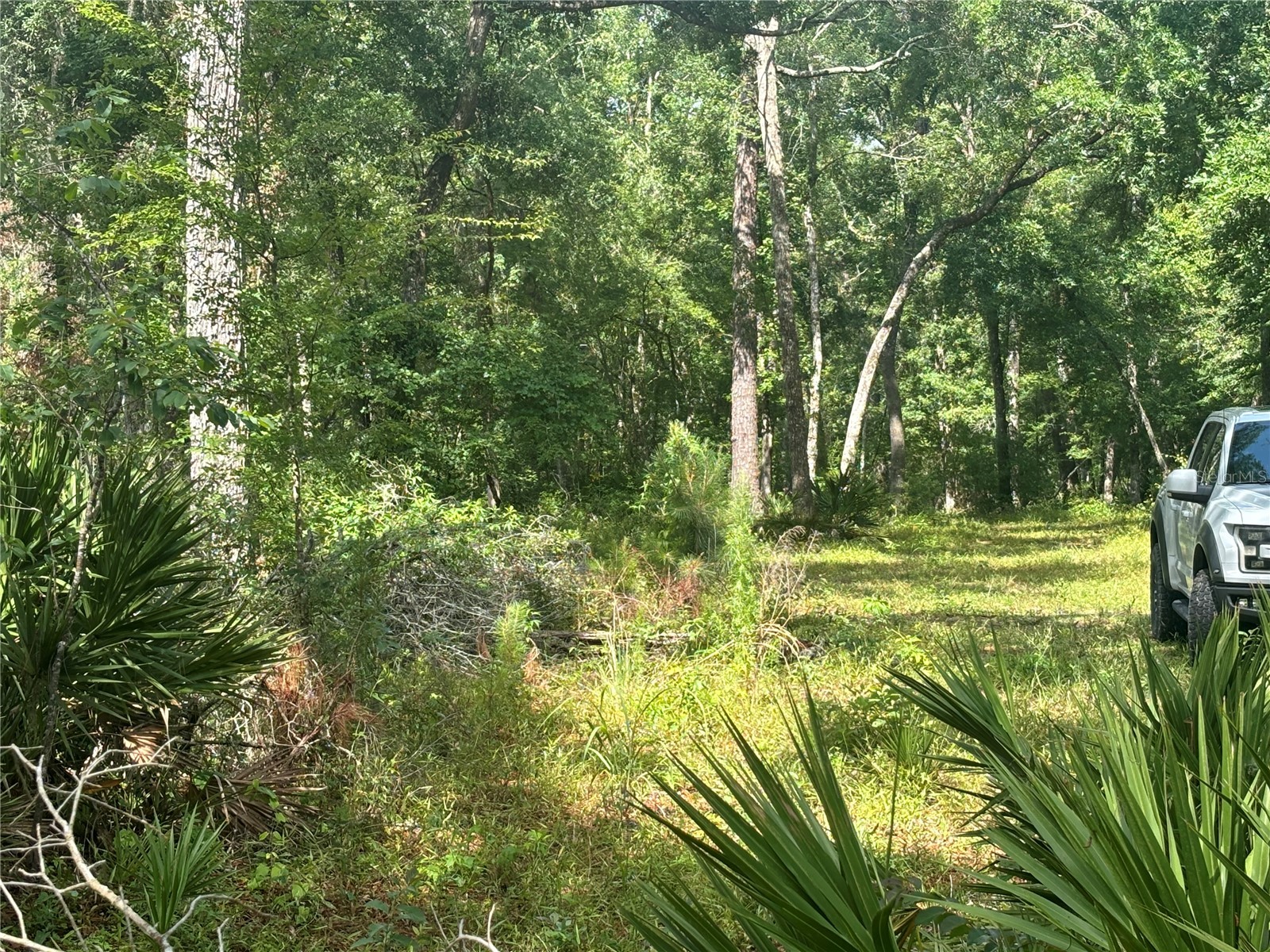 1305 NE 930th Street Old Town FL 32680 TB8520633 image7