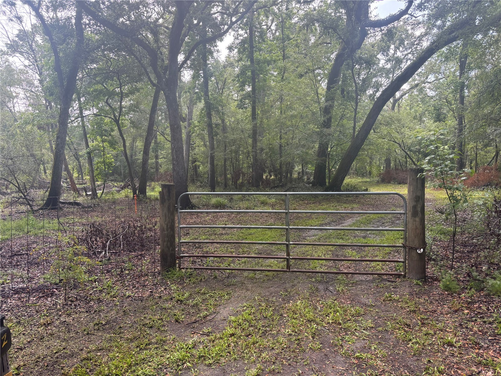 1305 NE 930th Street Old Town FL 32680 TB8520633 image8