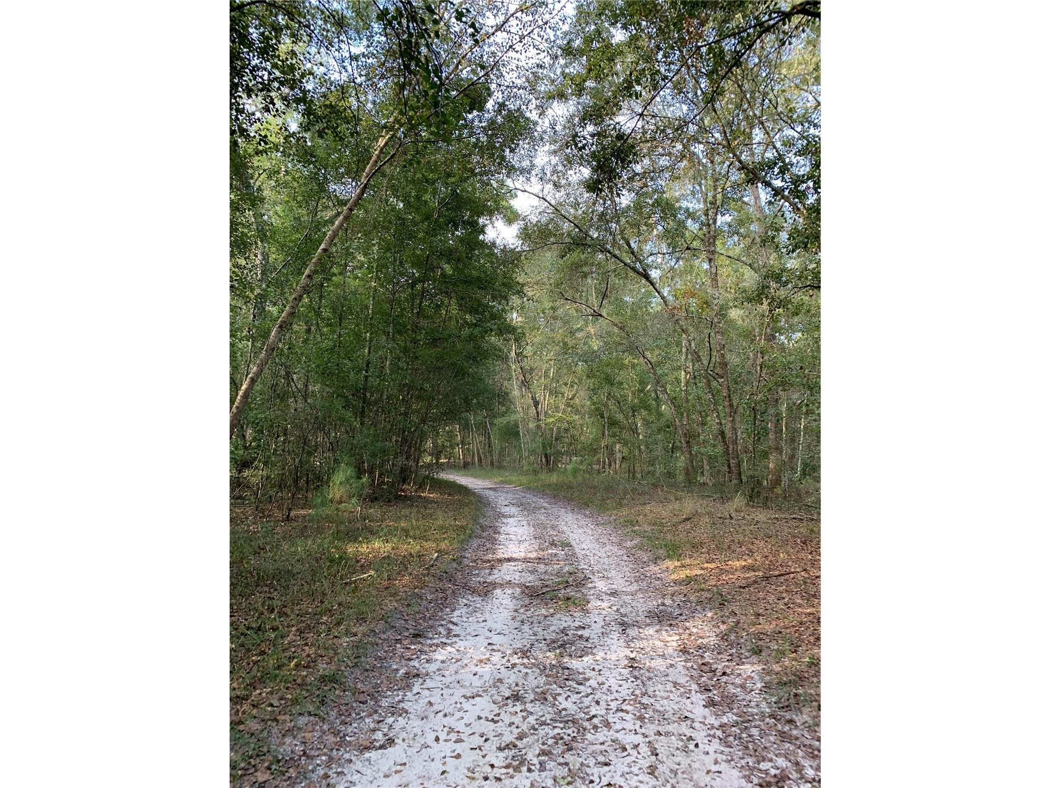 1305 NE 930th Street Old Town FL 32680 TB8520633 image9