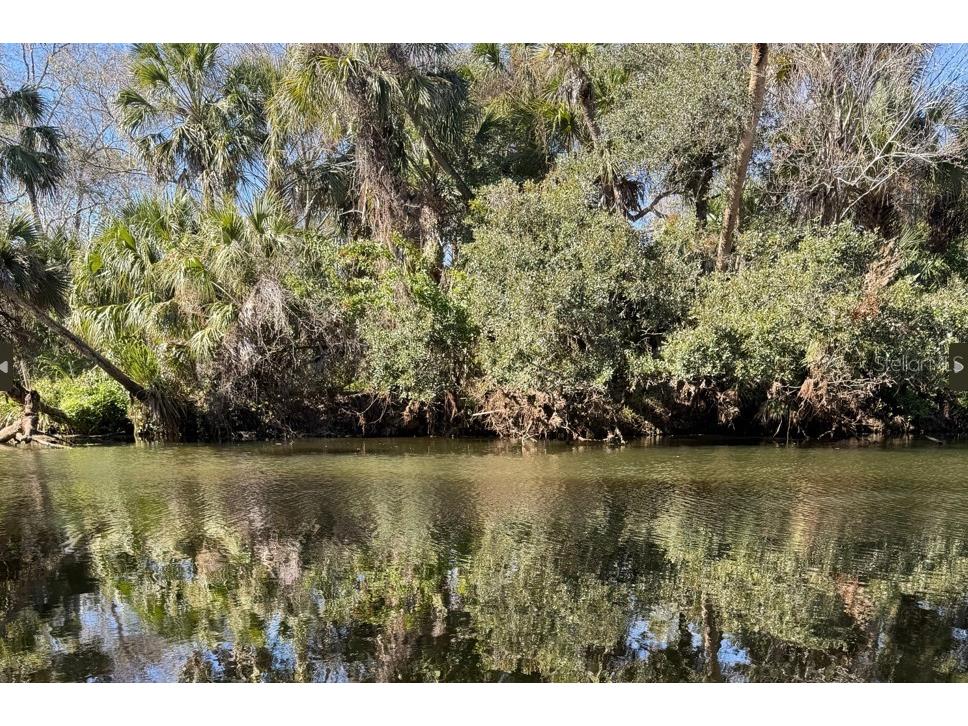 1305 Pemberton Trail Malabar FL 32950 O6384936 image63