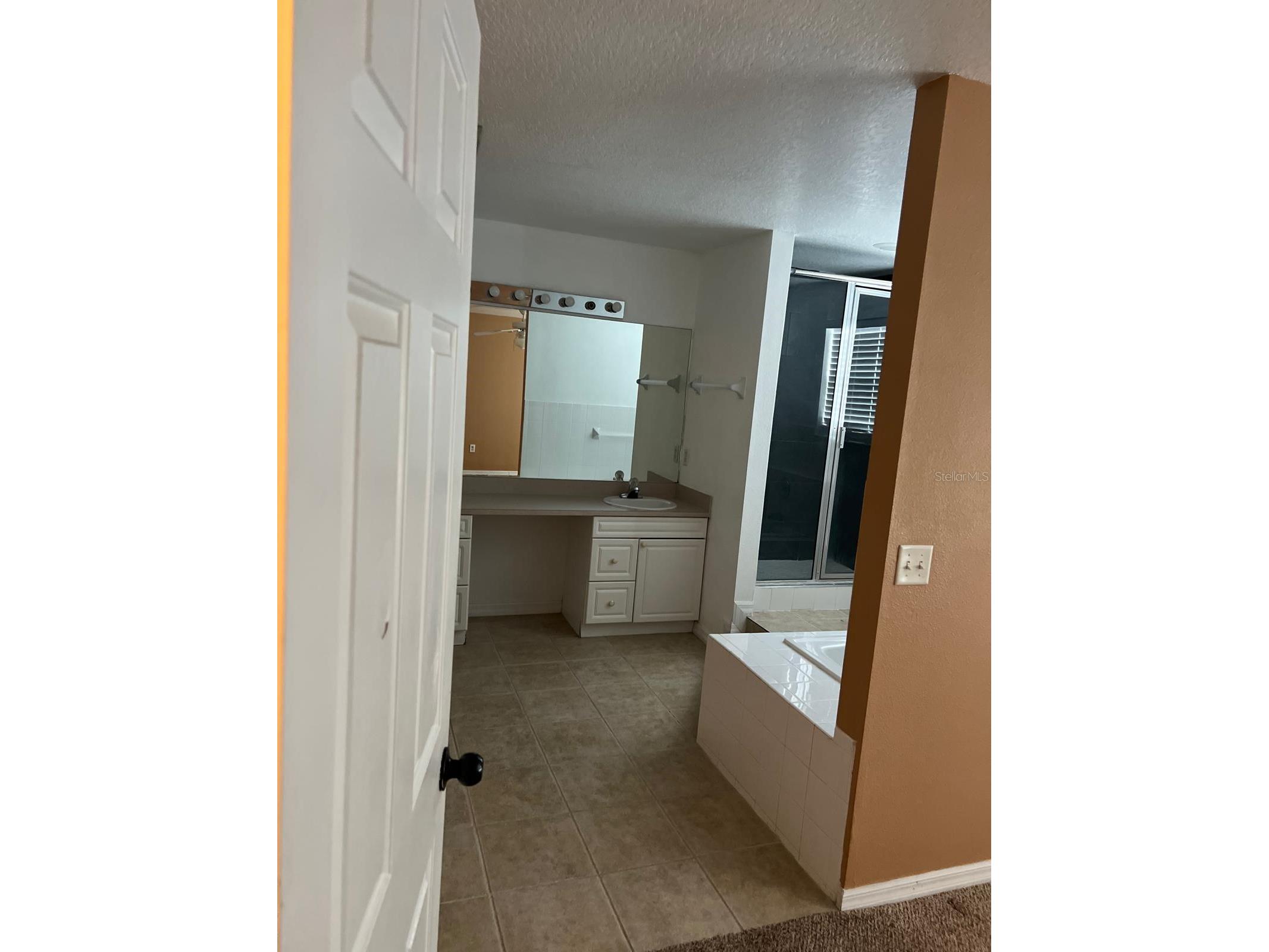 1305 Washington Palm Loop Davenport FL 33897 S5145911 image11