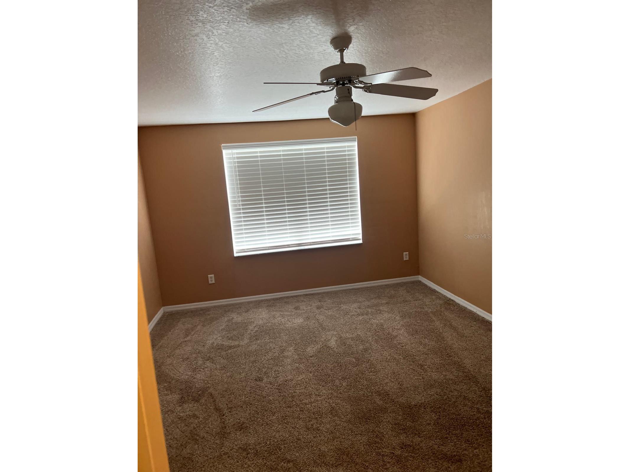 1305 Washington Palm Loop Davenport FL 33897 S5145911 image12