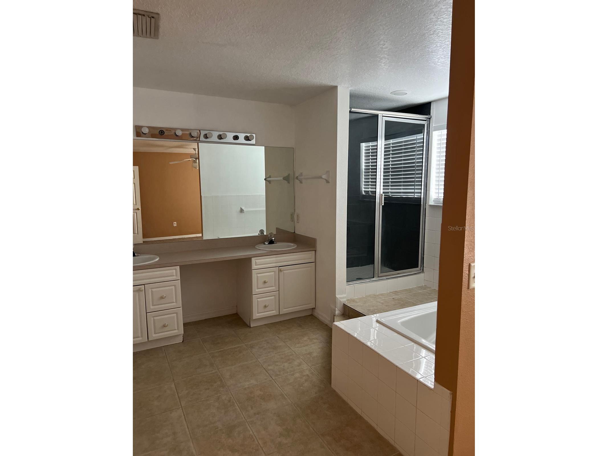 1305 Washington Palm Loop Davenport FL 33897 S5145911 image15