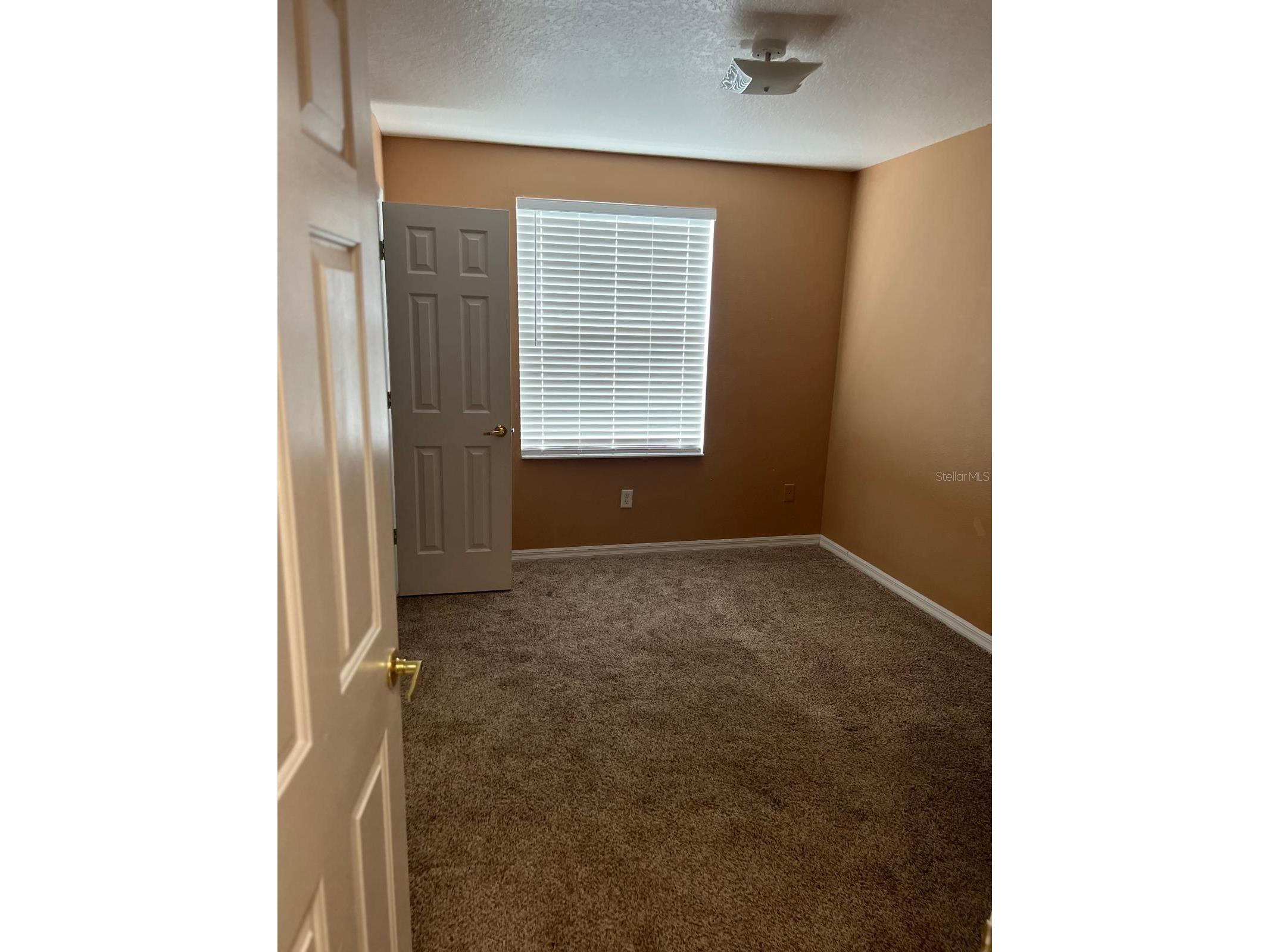 1305 Washington Palm Loop Davenport FL 33897 S5145911 image16