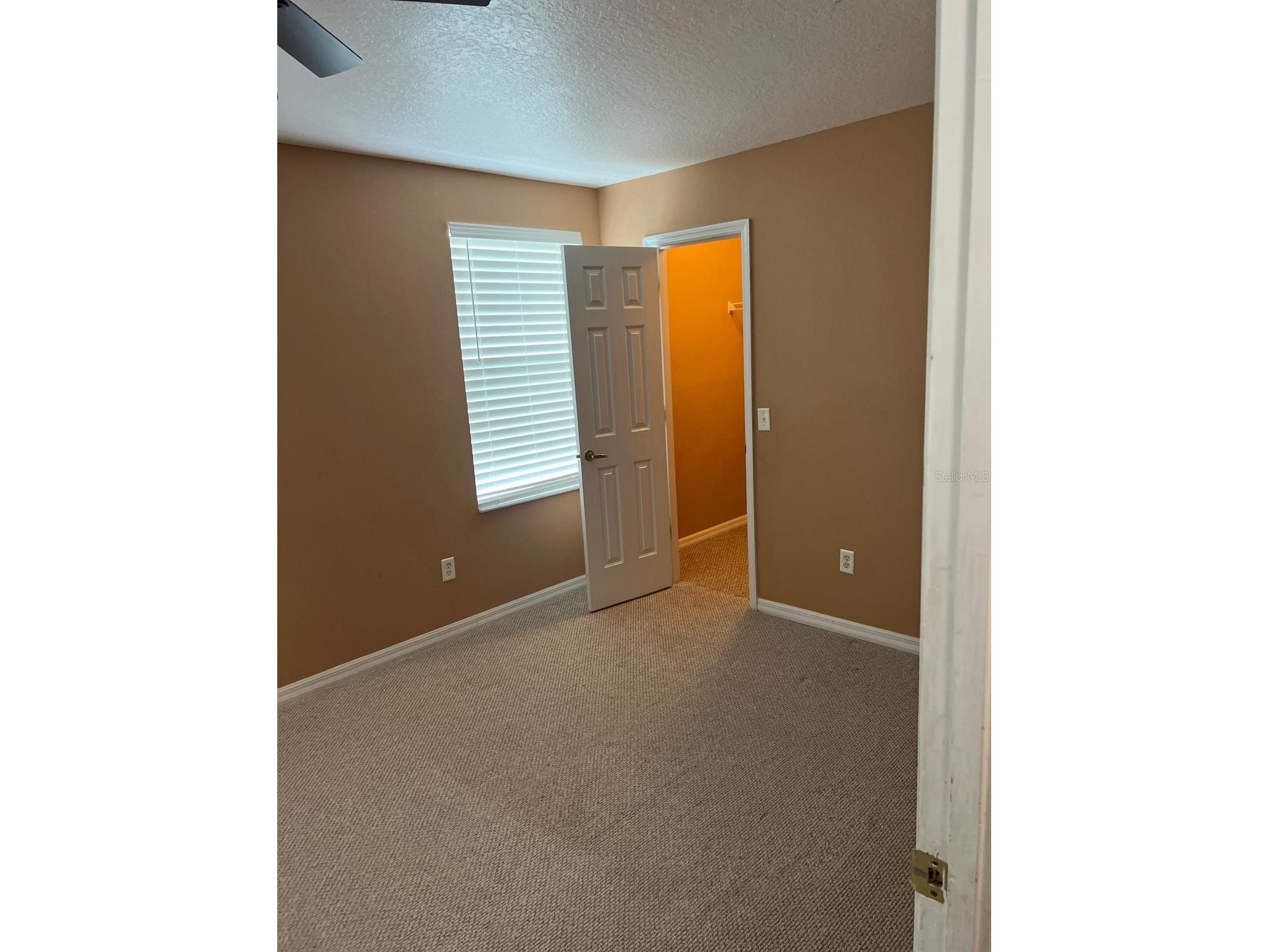 1305 Washington Palm Loop Davenport FL 33897 S5145911 image17