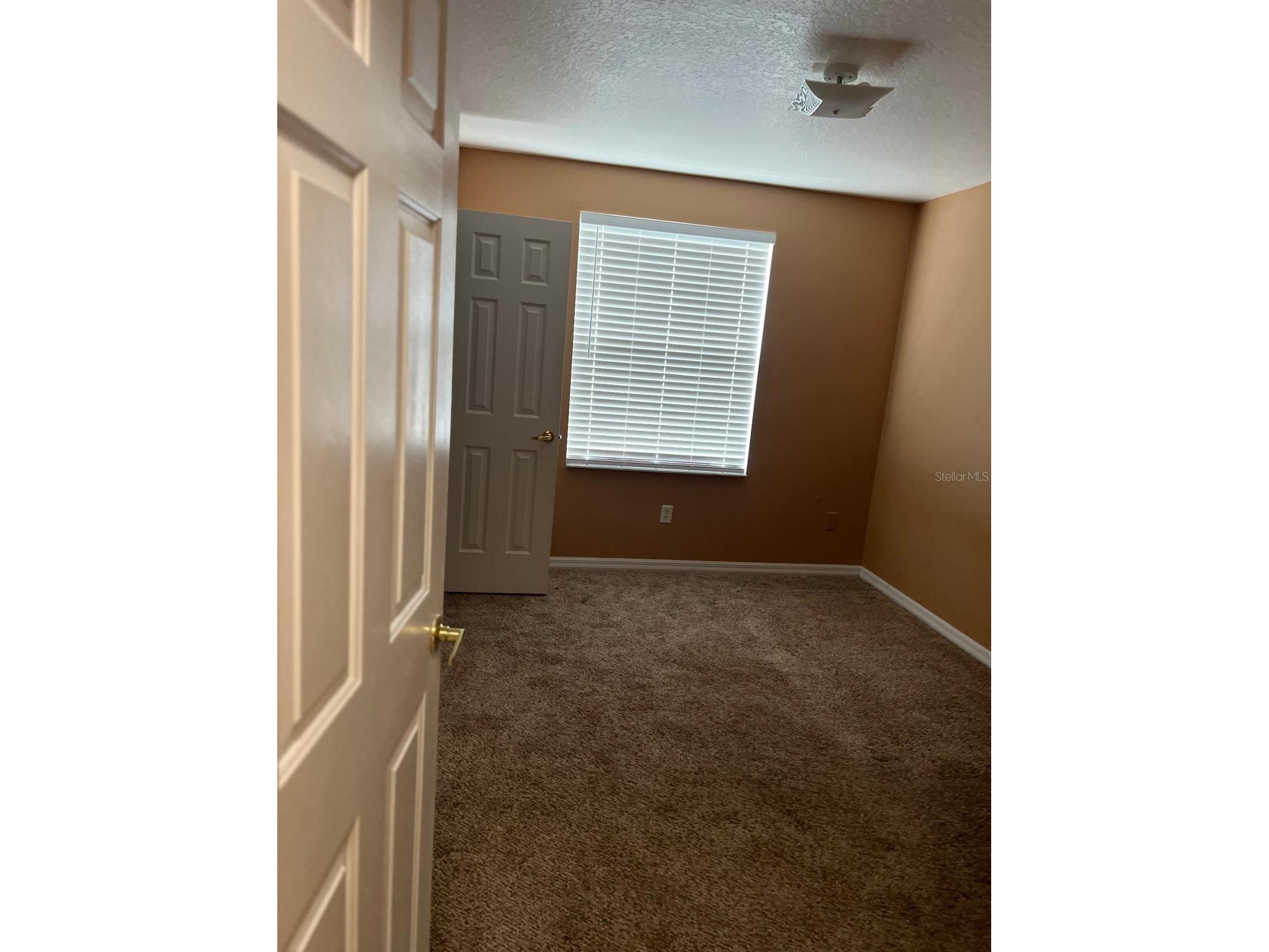 1305 Washington Palm Loop Davenport FL 33897 S5145911 image19