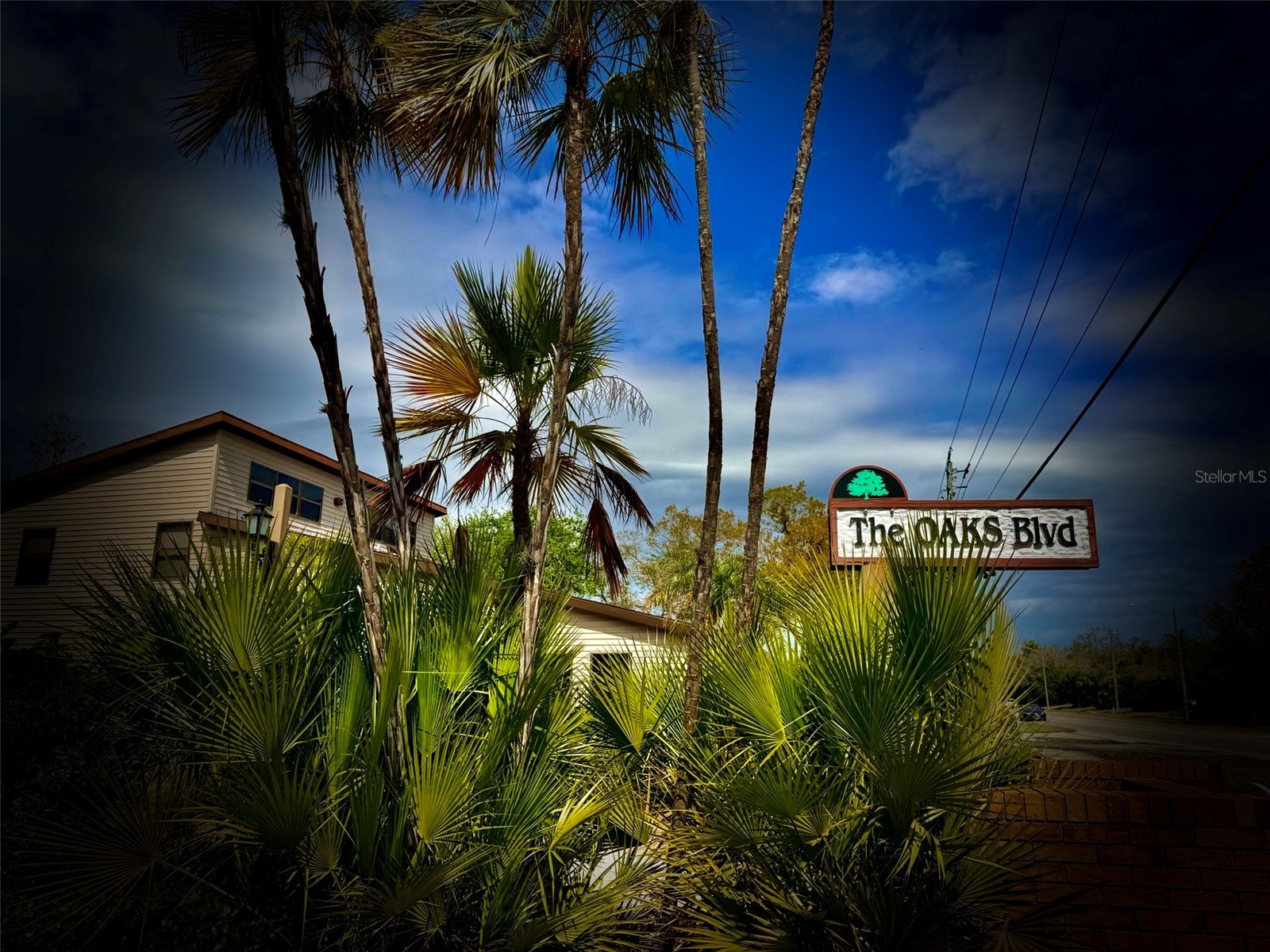 1305 Water Oak Way N Bradenton FL 34209 A4684133 image37