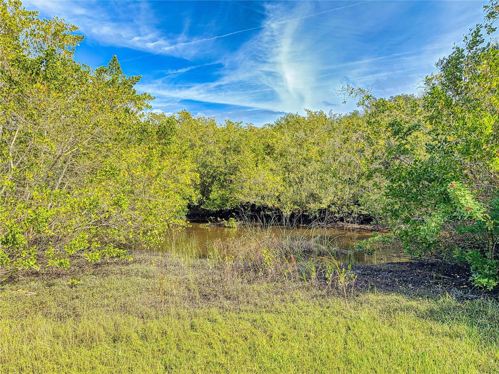 1305 Wayne Avenue New Smyrna Beach FL 32168 NS1087051 image57
