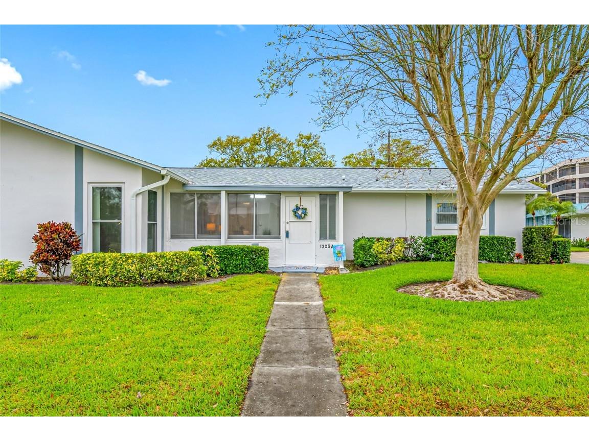 1305 Whitebridge Drive #A Palm Harbor FL 34684 T3552909 image1
