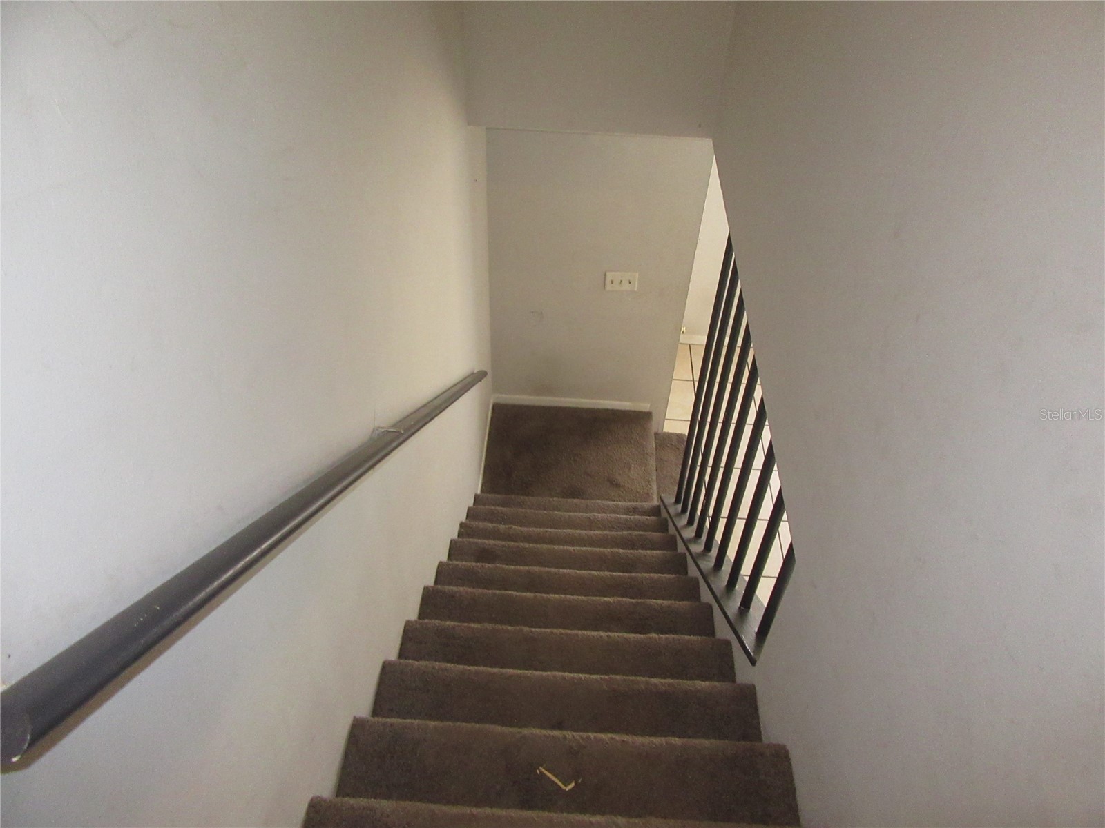 13050 N 20th Street Tampa FL 33612 TB8497735 image11