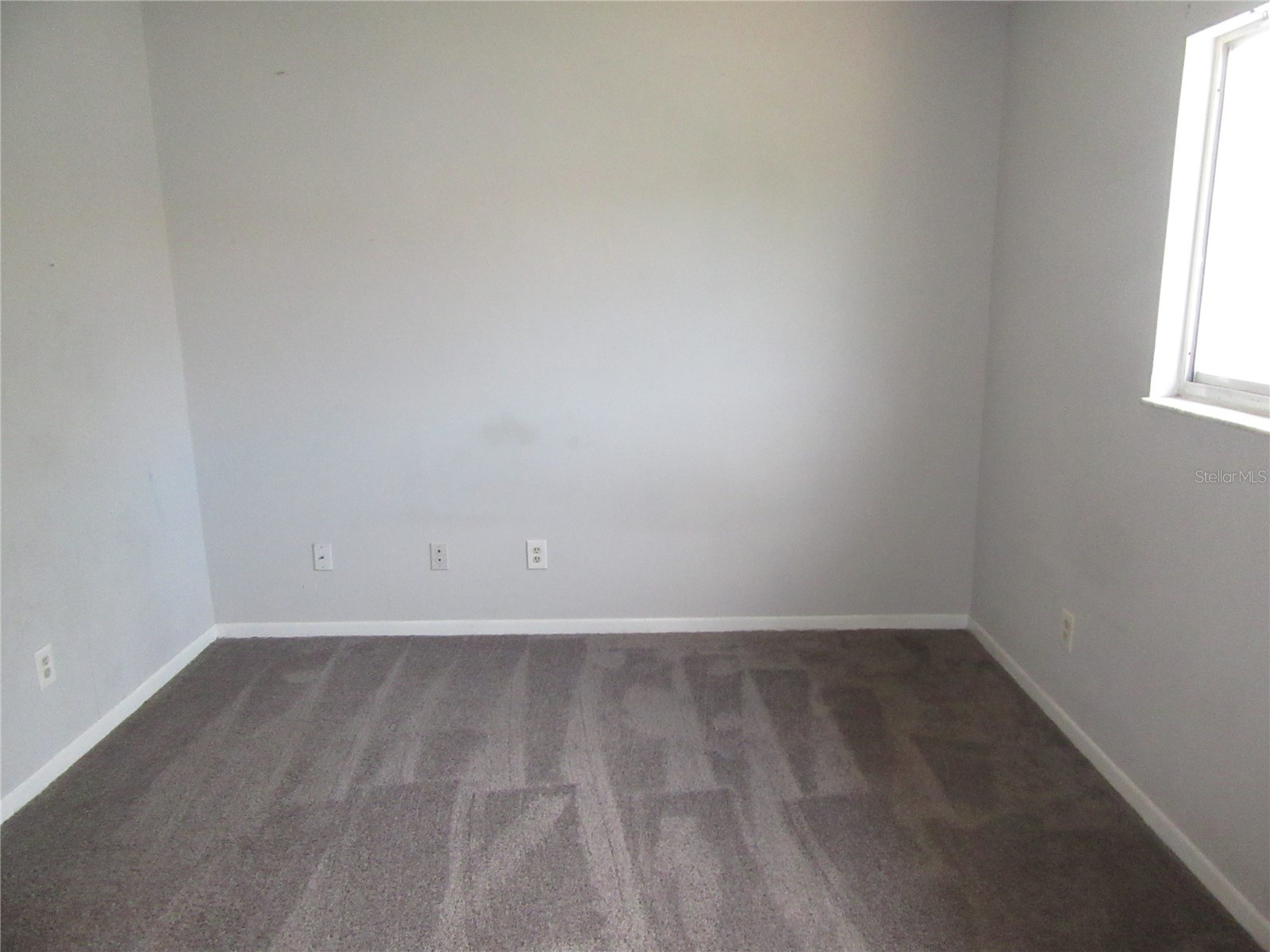 13050 N 20th Street Tampa FL 33612 TB8497735 image19