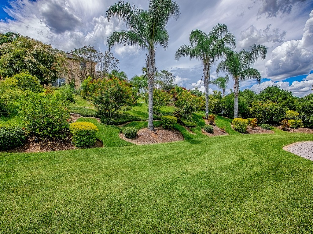 13051 Antique Oak Street Clermont FL 34711 G5099233 image35