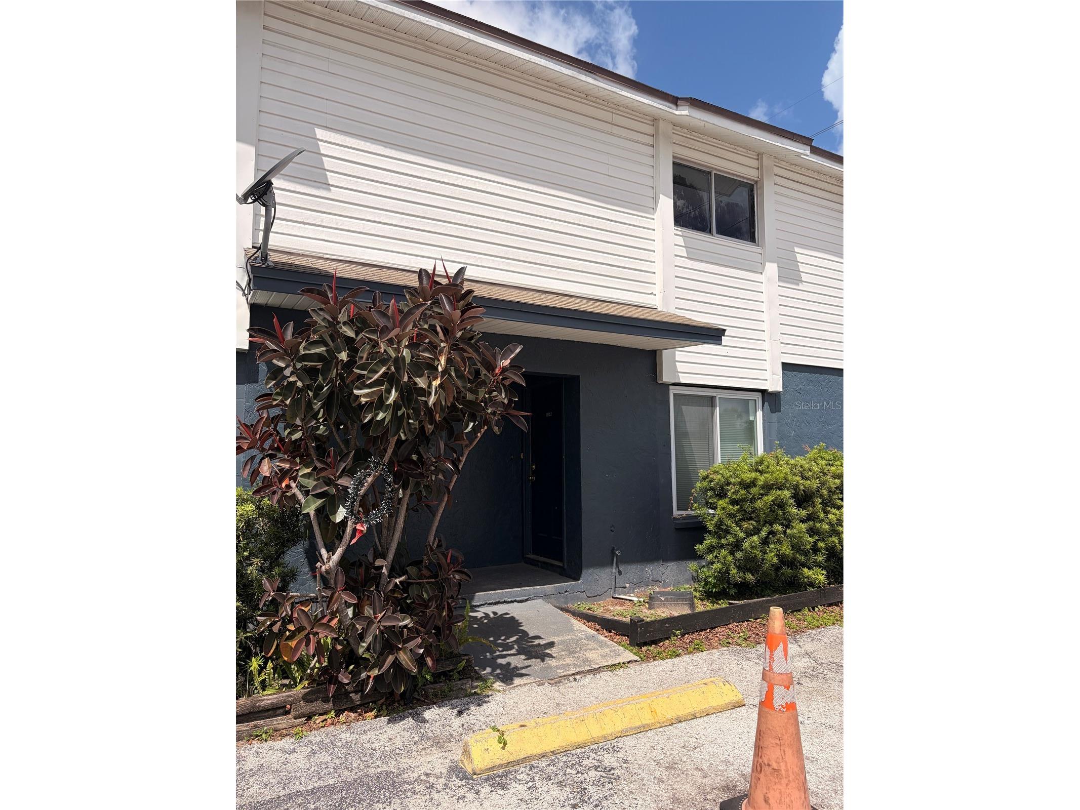 13052 Londondary Place Tampa FL 33612 TB8497286 image1