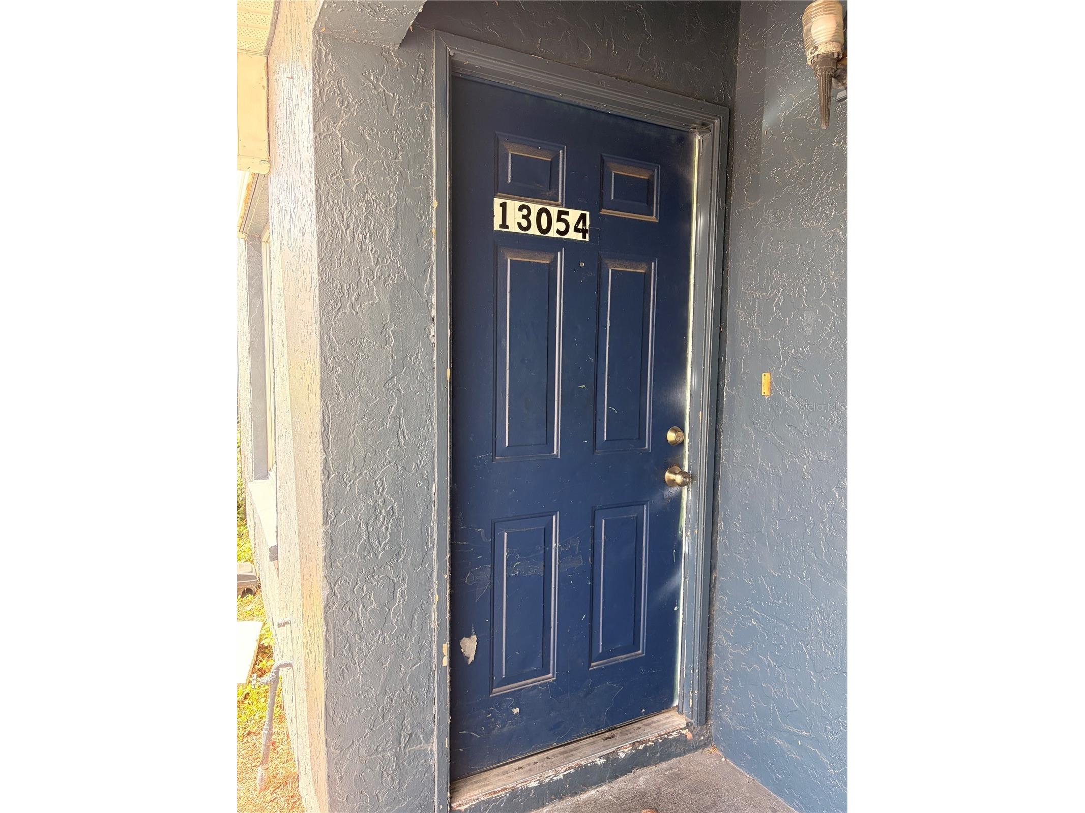 13054 Londondary Place Tampa FL 33612 TB8497373 image1