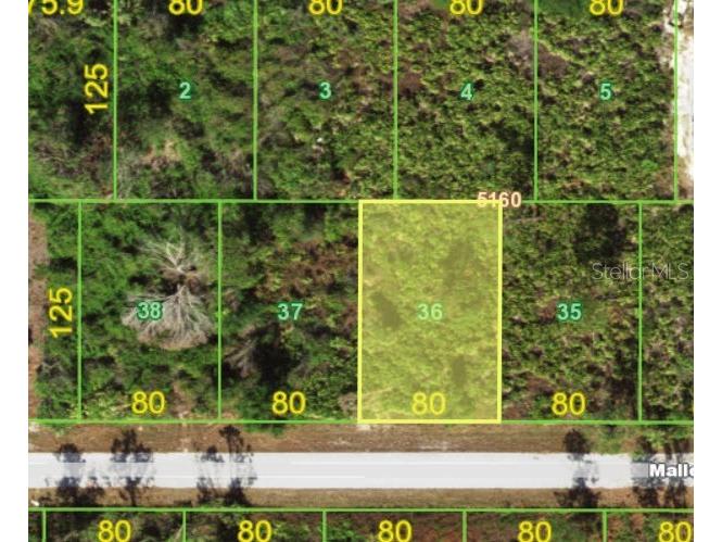 13054 Mallen Street Port Charlotte FL 33981 T3495254 image1