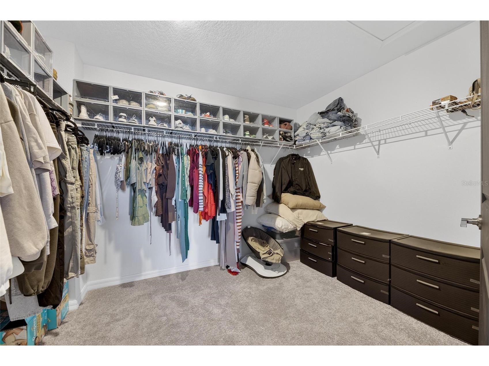 13054 Violet Flame Avenue Wimauma FL 33598 TB8483517 image22