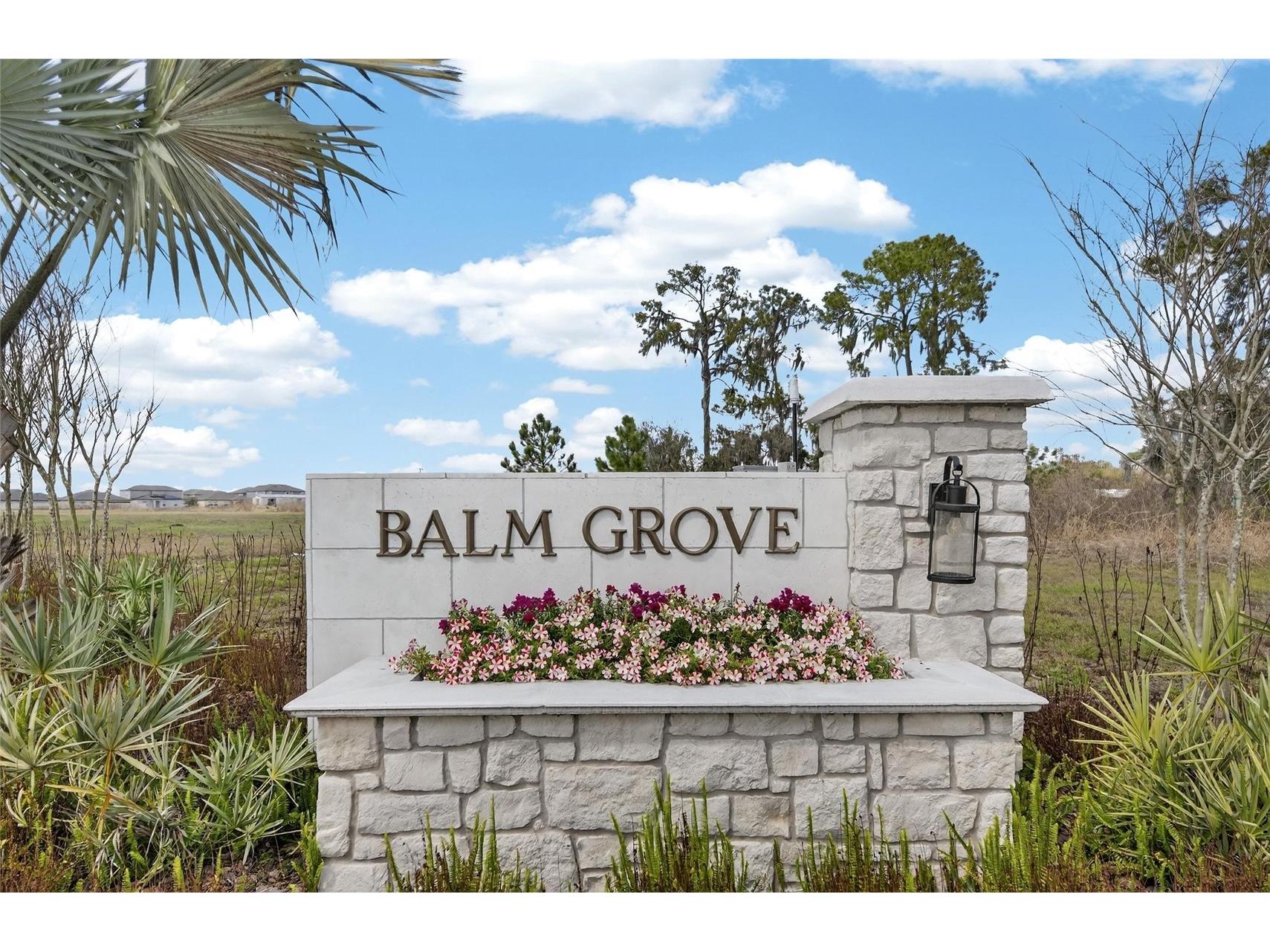 13054 Violet Flame Avenue Wimauma FL 33598 TB8483517 image70