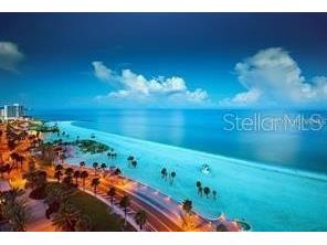 13054 Violet Flame Avenue Wimauma FL 33598 TB8483517 image76