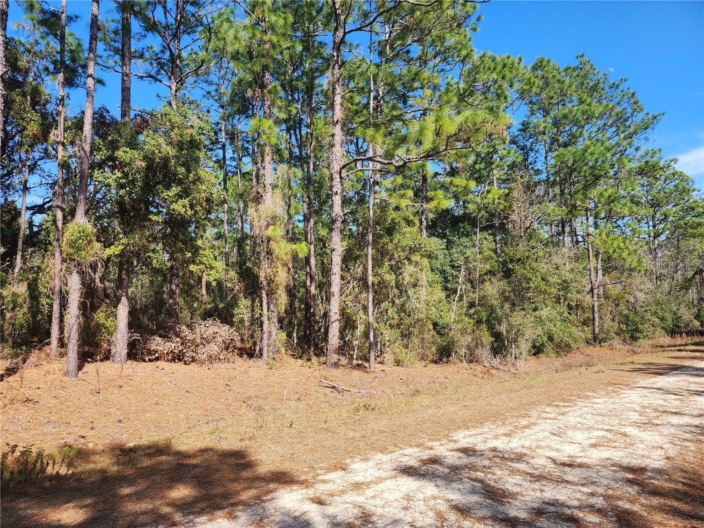 13055 SW 75th Street Dunnellon FL 34432 OM694884 image1