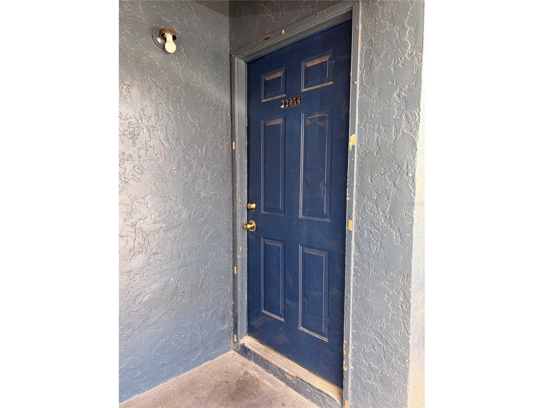 13056 Londondary Place Tampa FL 33612 TB8497374 image1