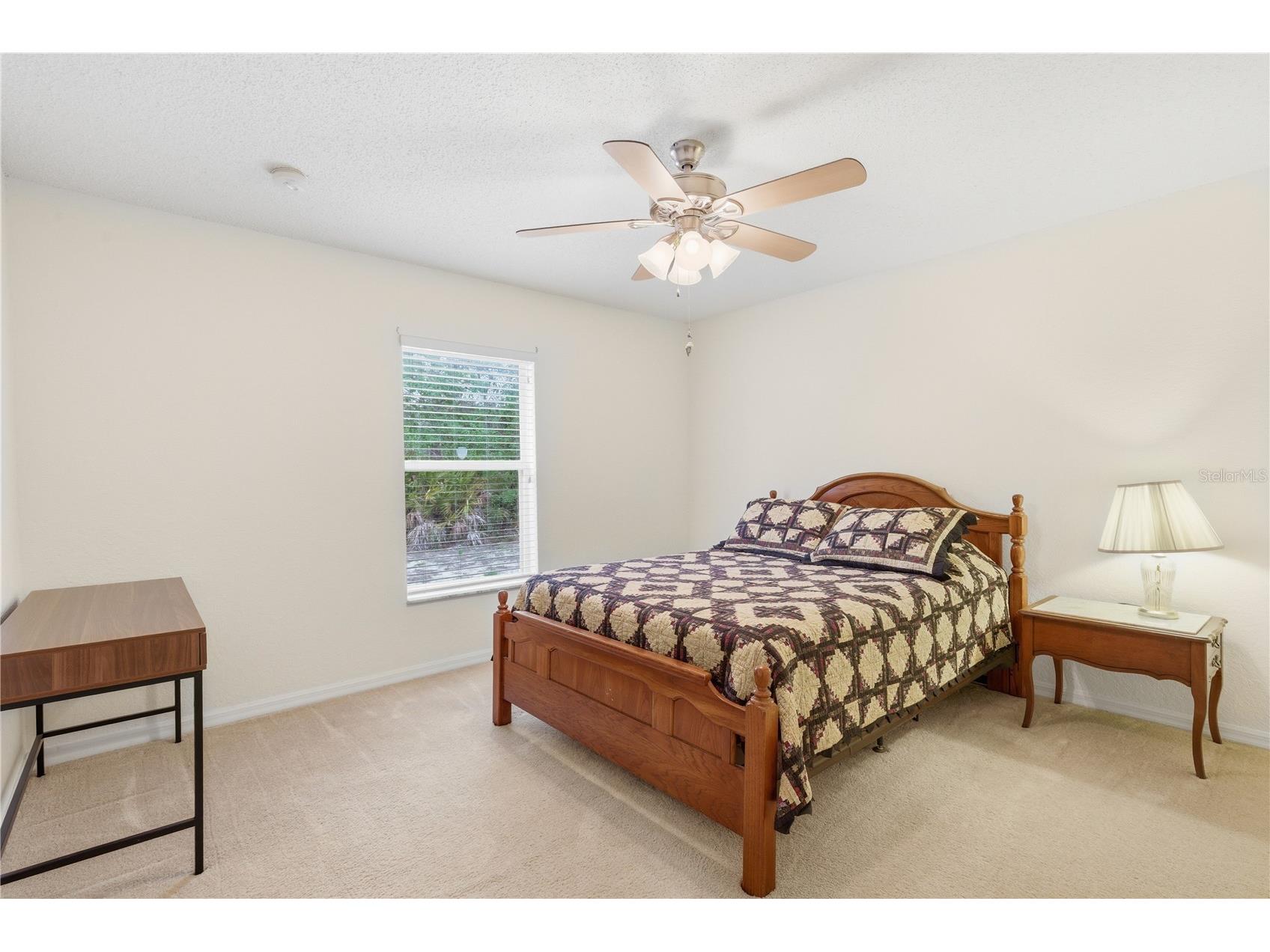 13056 Painted Bunting Avenue Weeki Wachee FL 34614 W7885712 image26