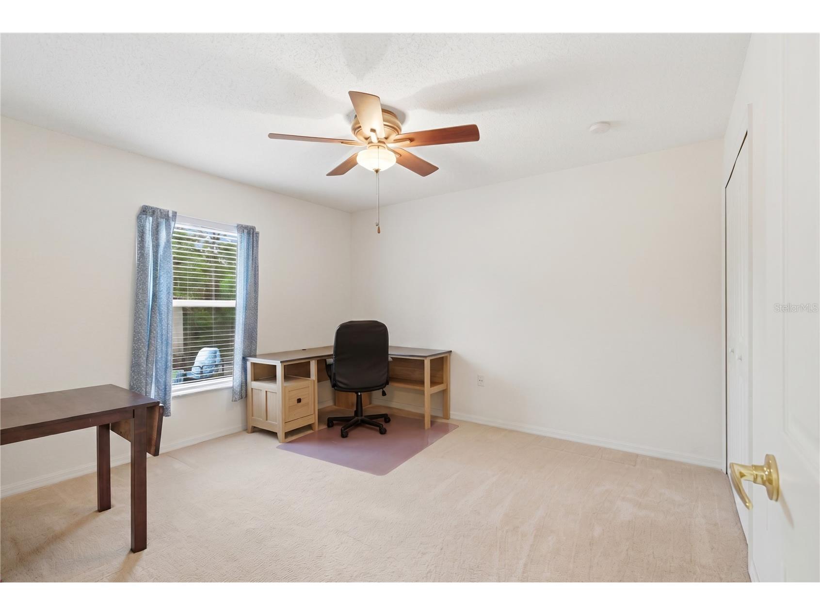 13056 Painted Bunting Avenue Weeki Wachee FL 34614 W7885712 image29