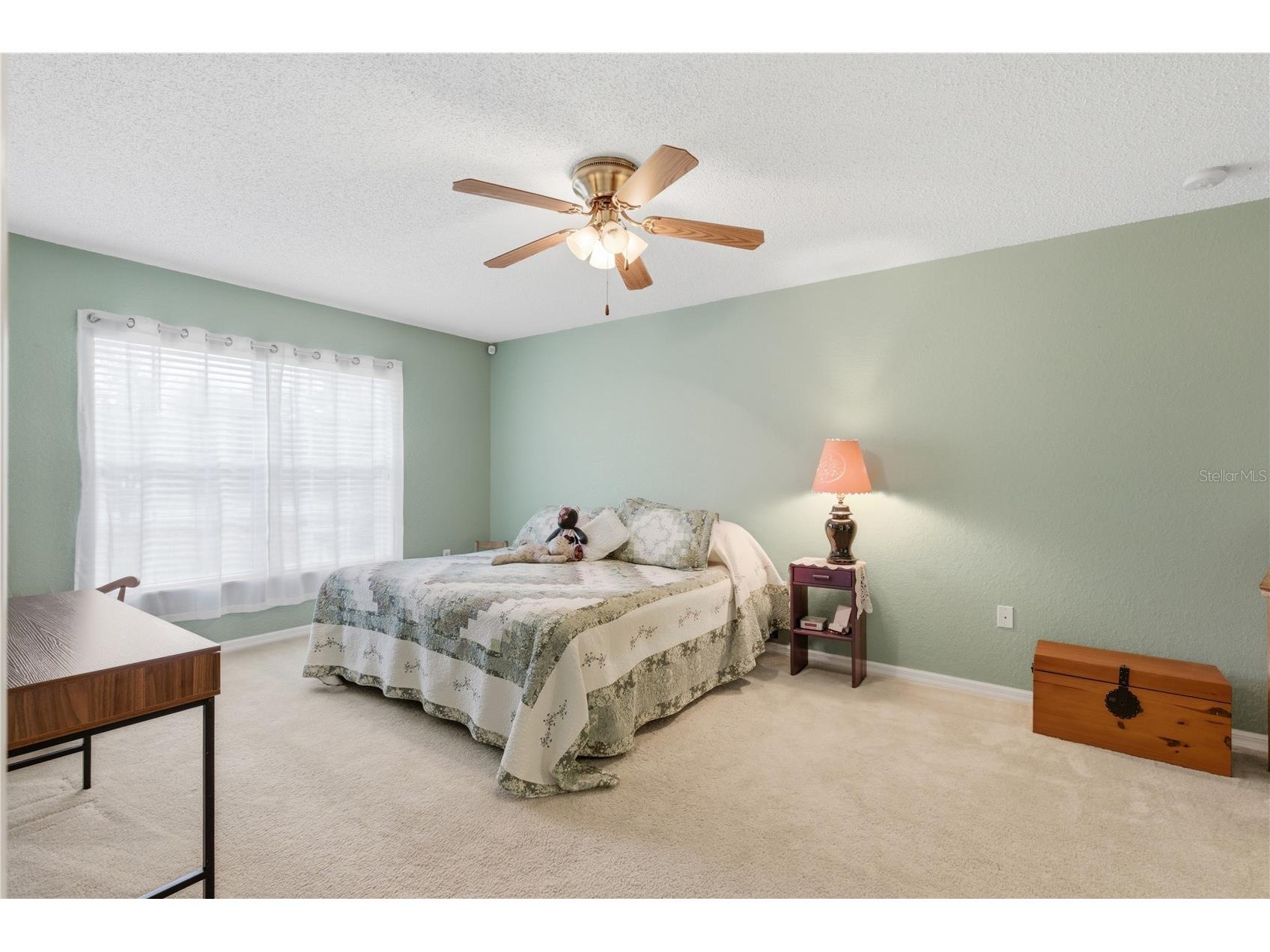 13056 Painted Bunting Avenue Weeki Wachee FL 34614 W7885712 image4