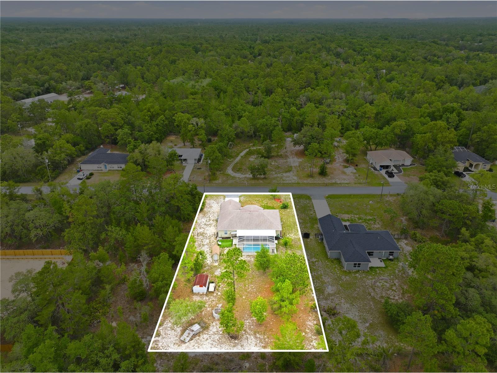 13056 Painted Bunting Avenue Weeki Wachee FL 34614 W7885712 image43