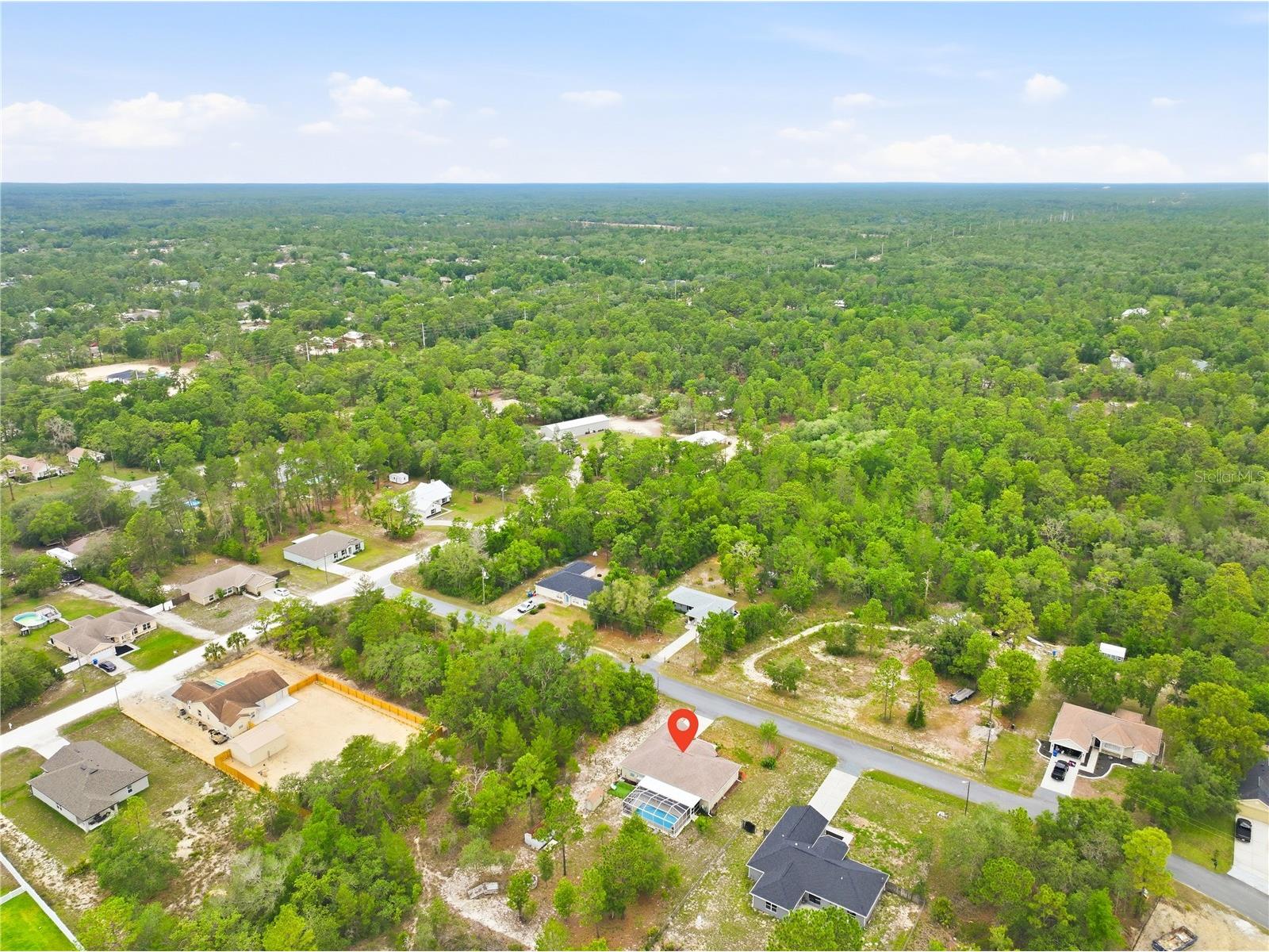 13056 Painted Bunting Avenue Weeki Wachee FL 34614 W7885712 image49