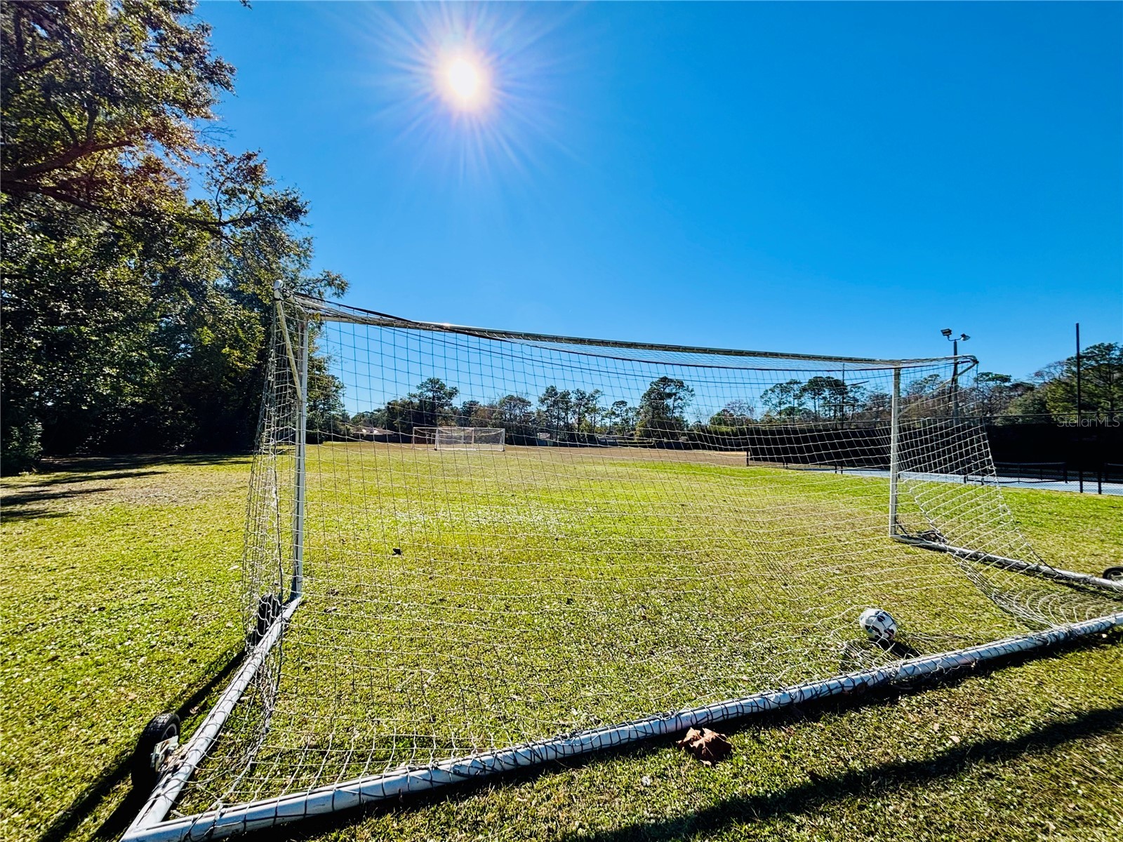 13058 Bent Pine Court E Jacksonville FL 32246 O6375760 image24