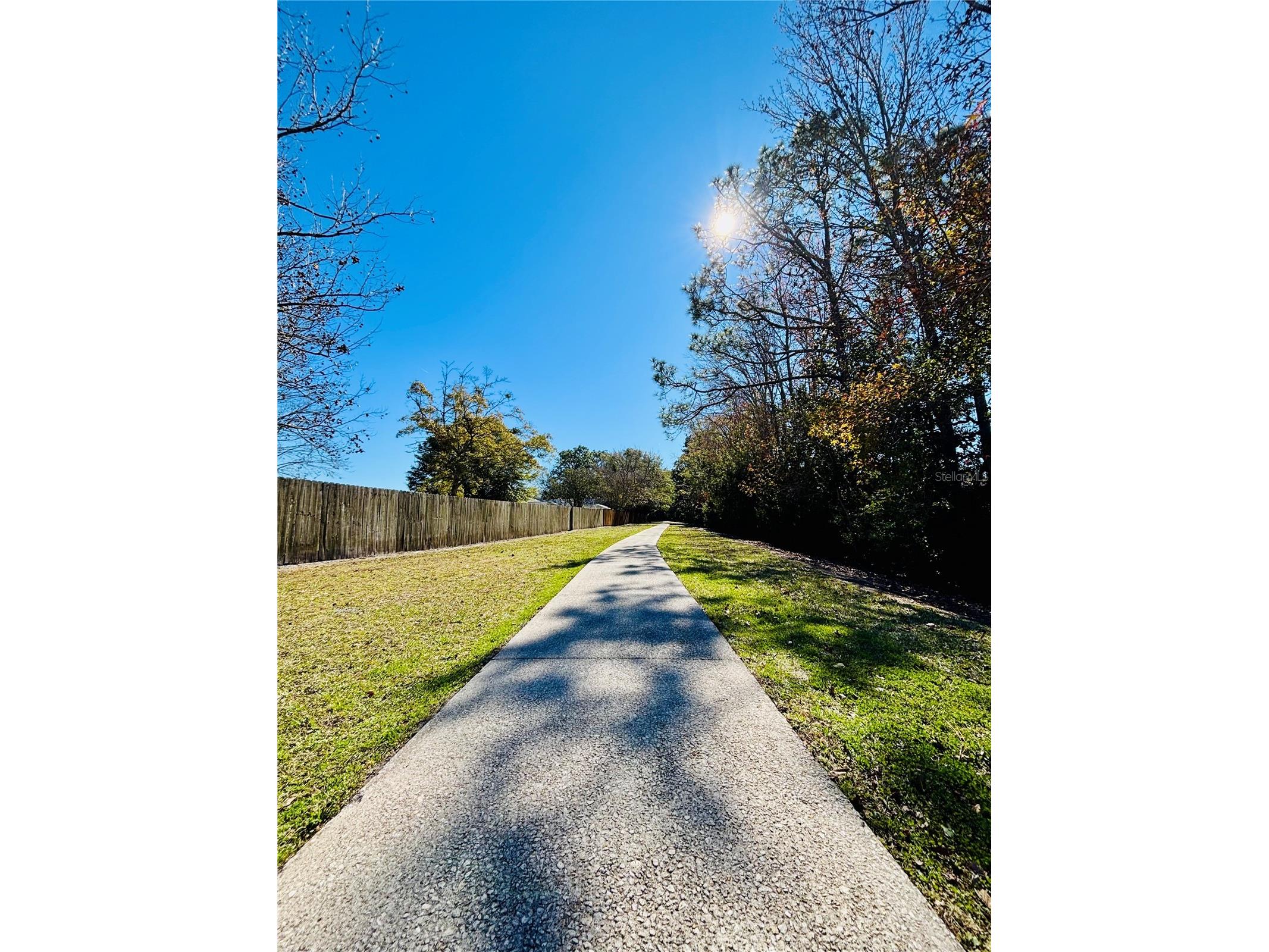 13058 Bent Pine Court E Jacksonville FL 32246 O6375760 image32