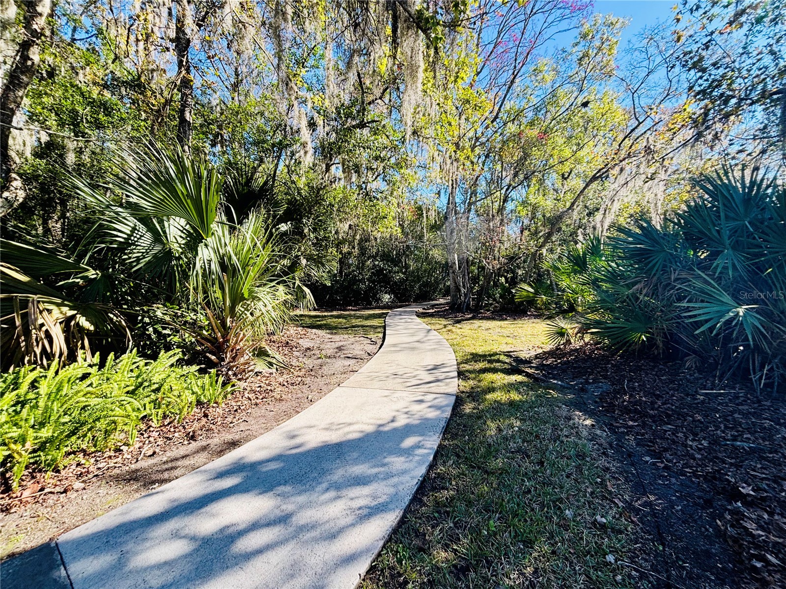 13058 Bent Pine Court E Jacksonville FL 32246 O6375760 image33