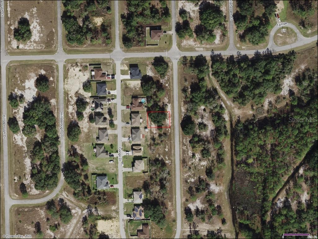 1306 Congo Drive Poinciana FL 34759 O6080102 image1