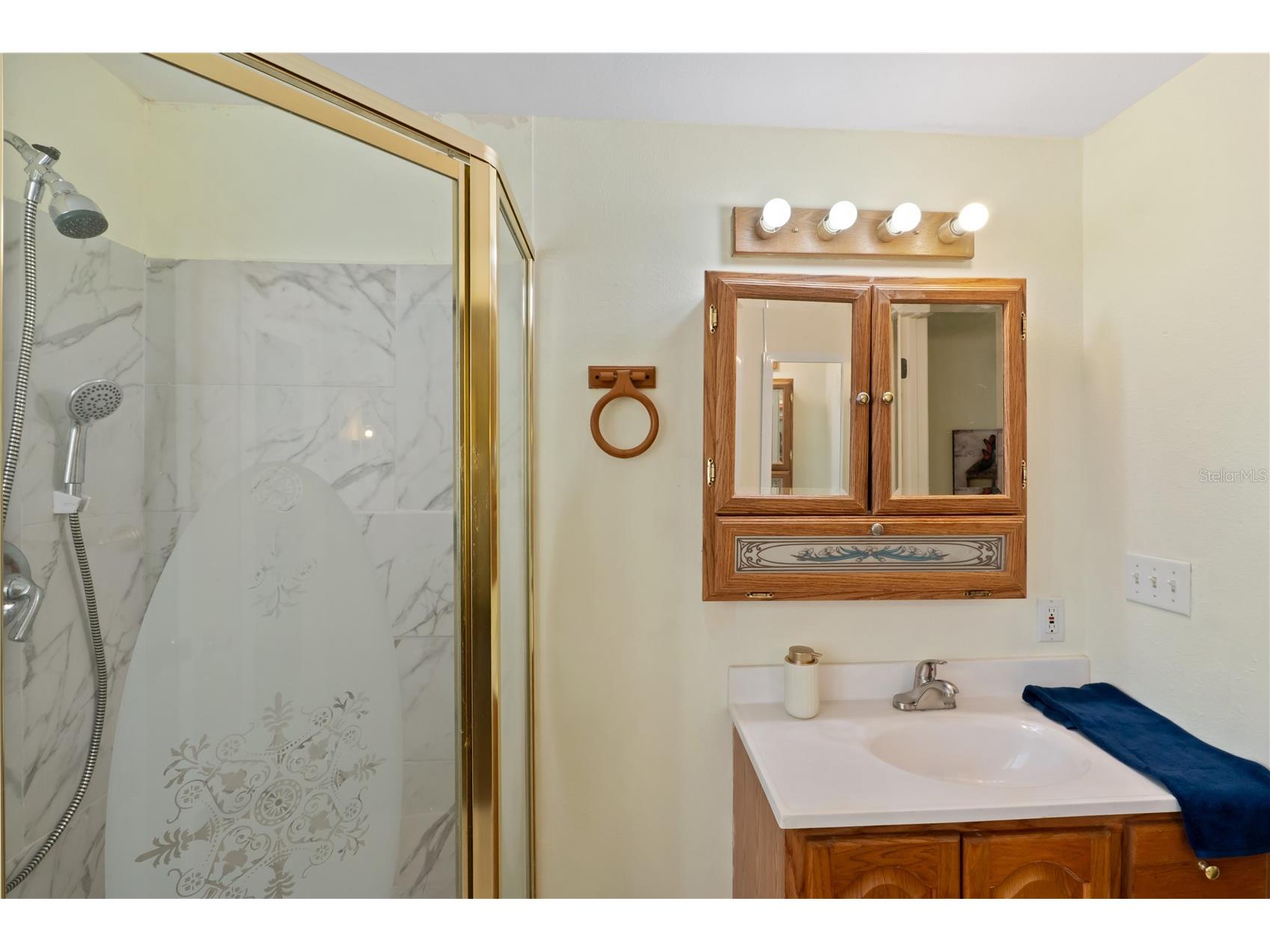 1306 Debra Drive The Villages FL 32159 G5110865 image20